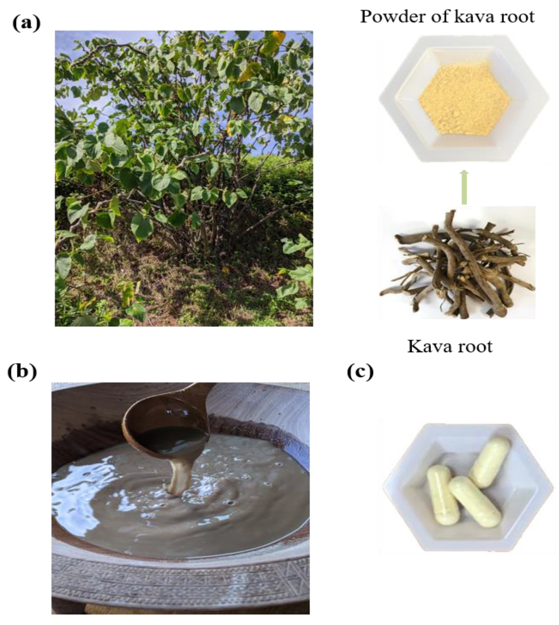 Nutrients 12 03044 g001 Nutrients 12 03044 g001