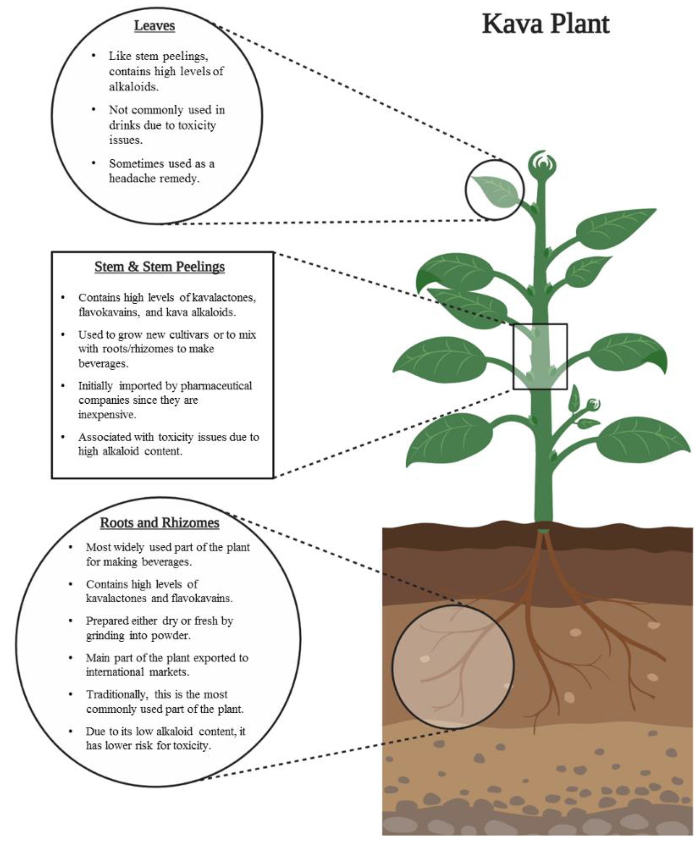 Nutrients 12 03044 g006 Nutrients 12 03044 g006