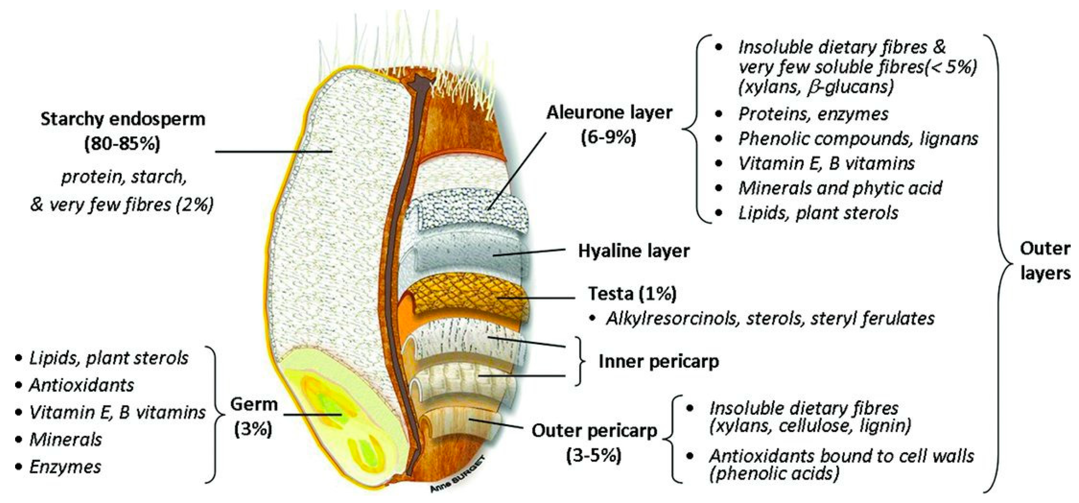 Nutrients 12 03045 g001 Nutrients 12 03045 g001