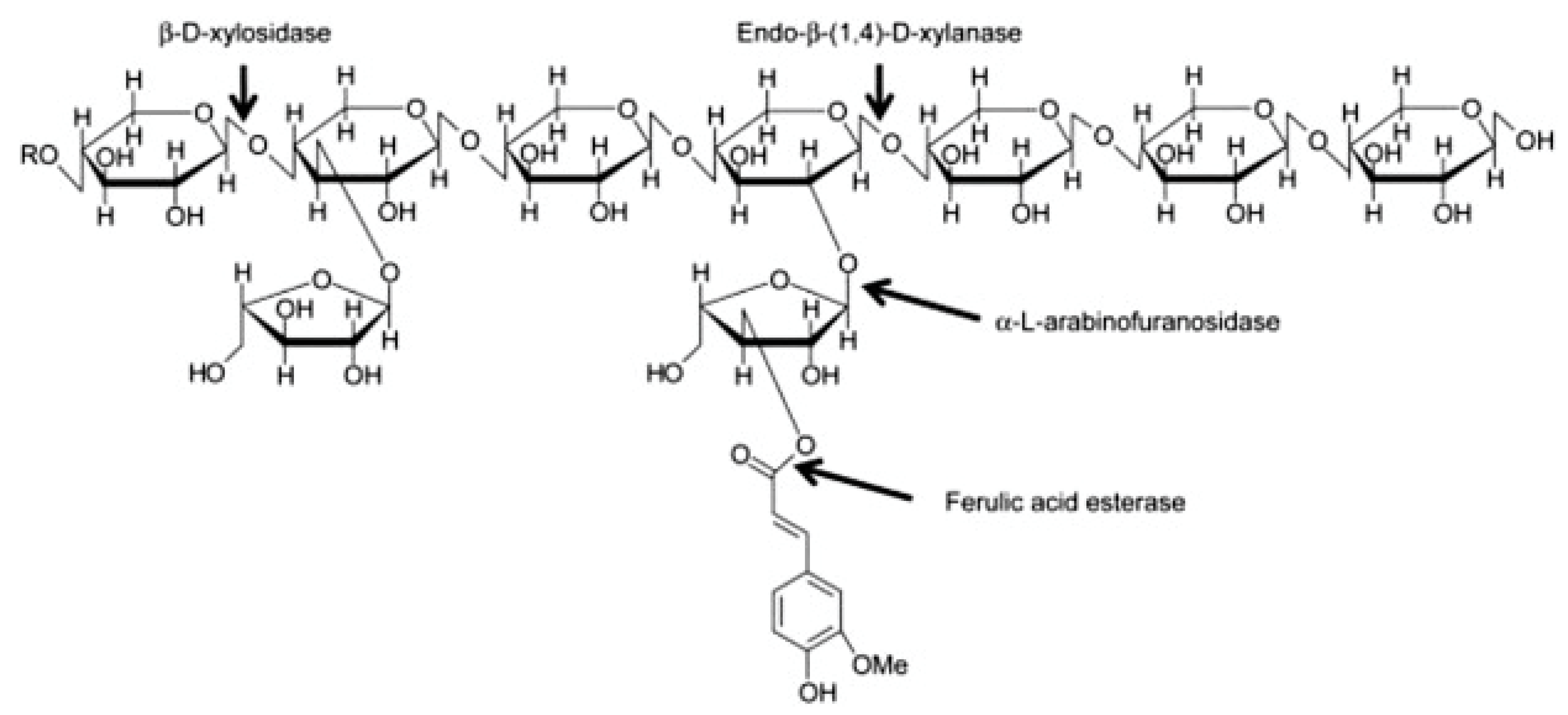 Nutrients 12 03045 g002 Nutrients 12 03045 g002