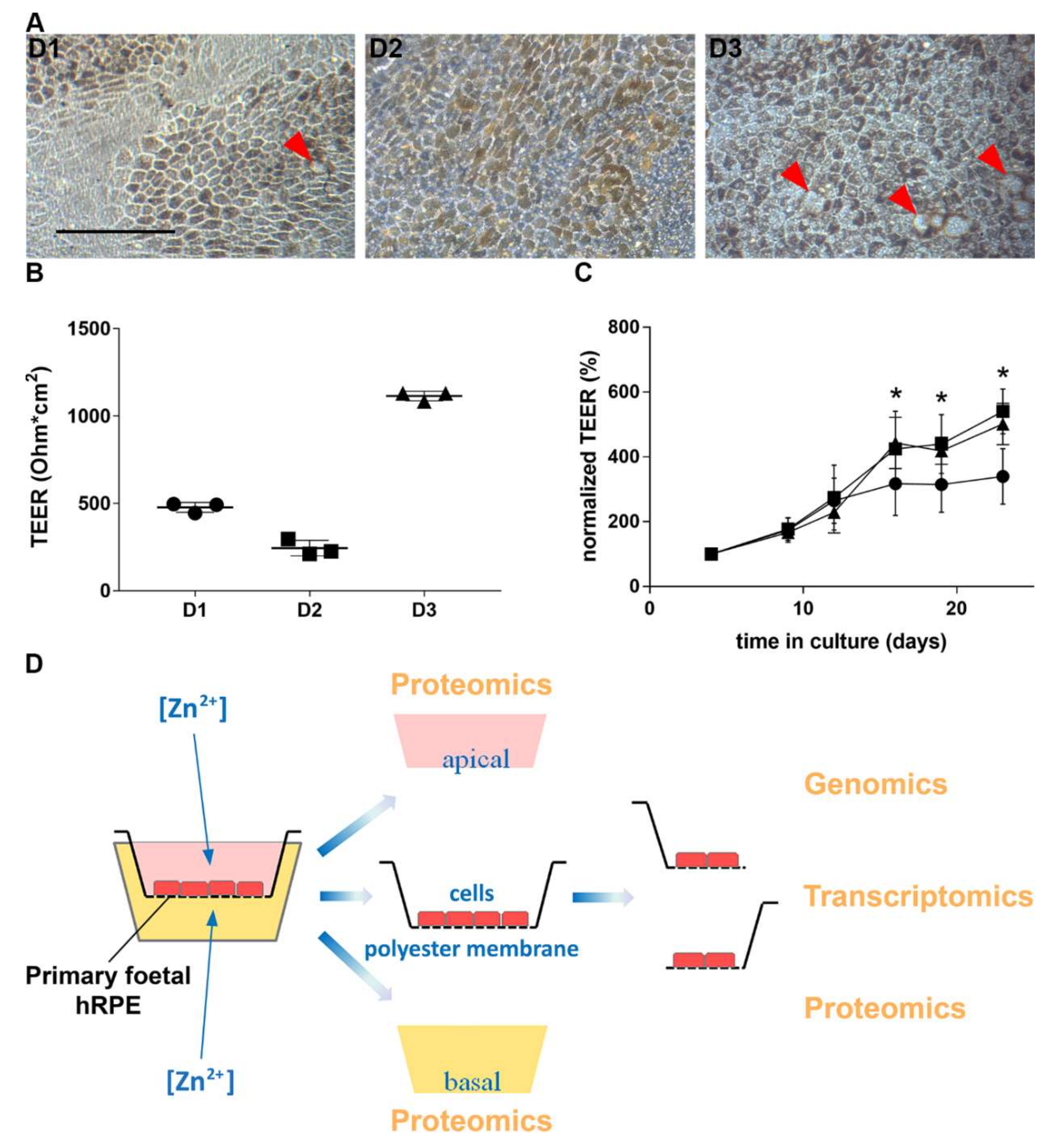 Nutrients 12 03051 g001 Nutrients 12 03051 g001