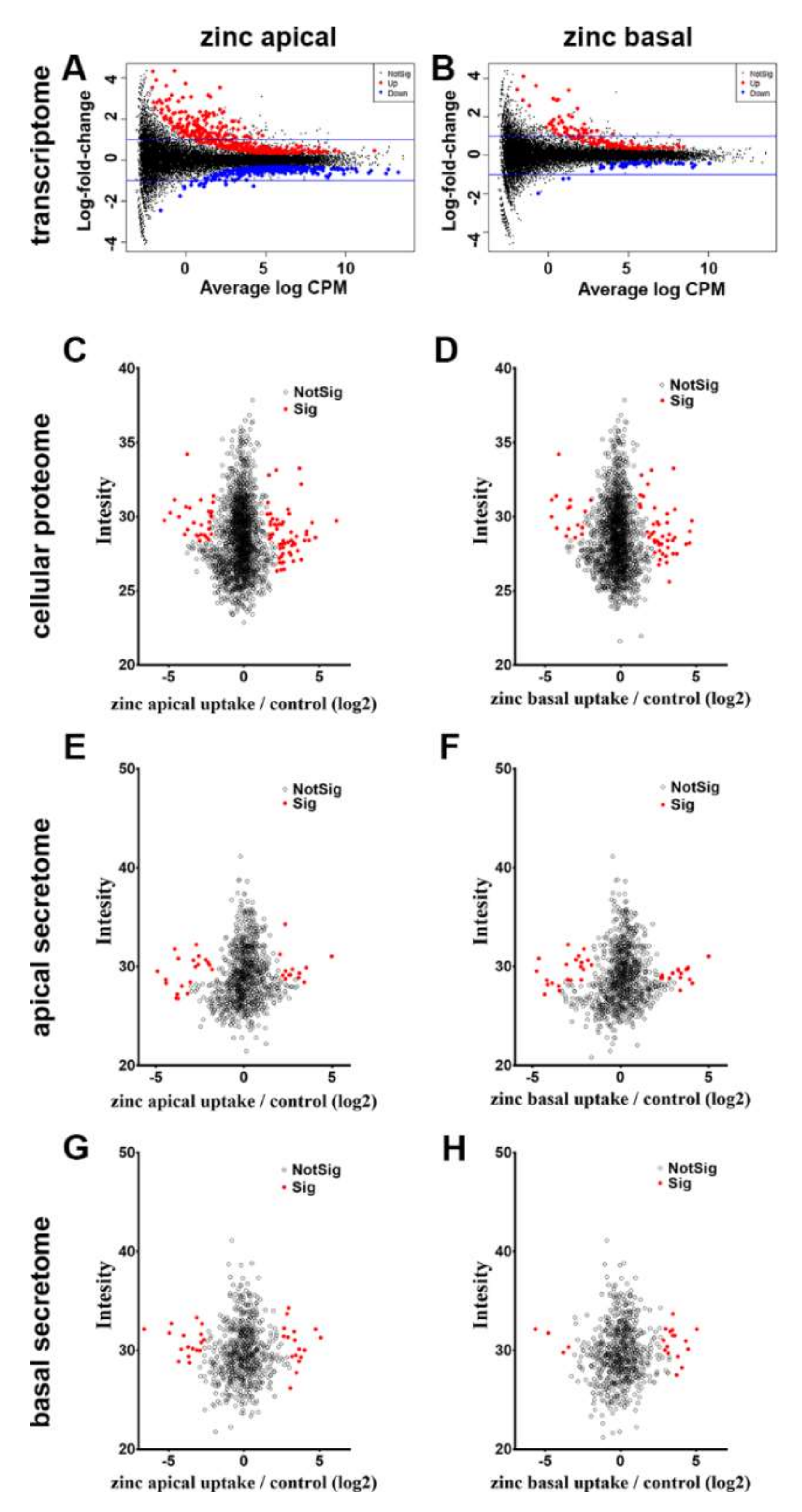 Nutrients 12 03051 g002 Nutrients 12 03051 g002