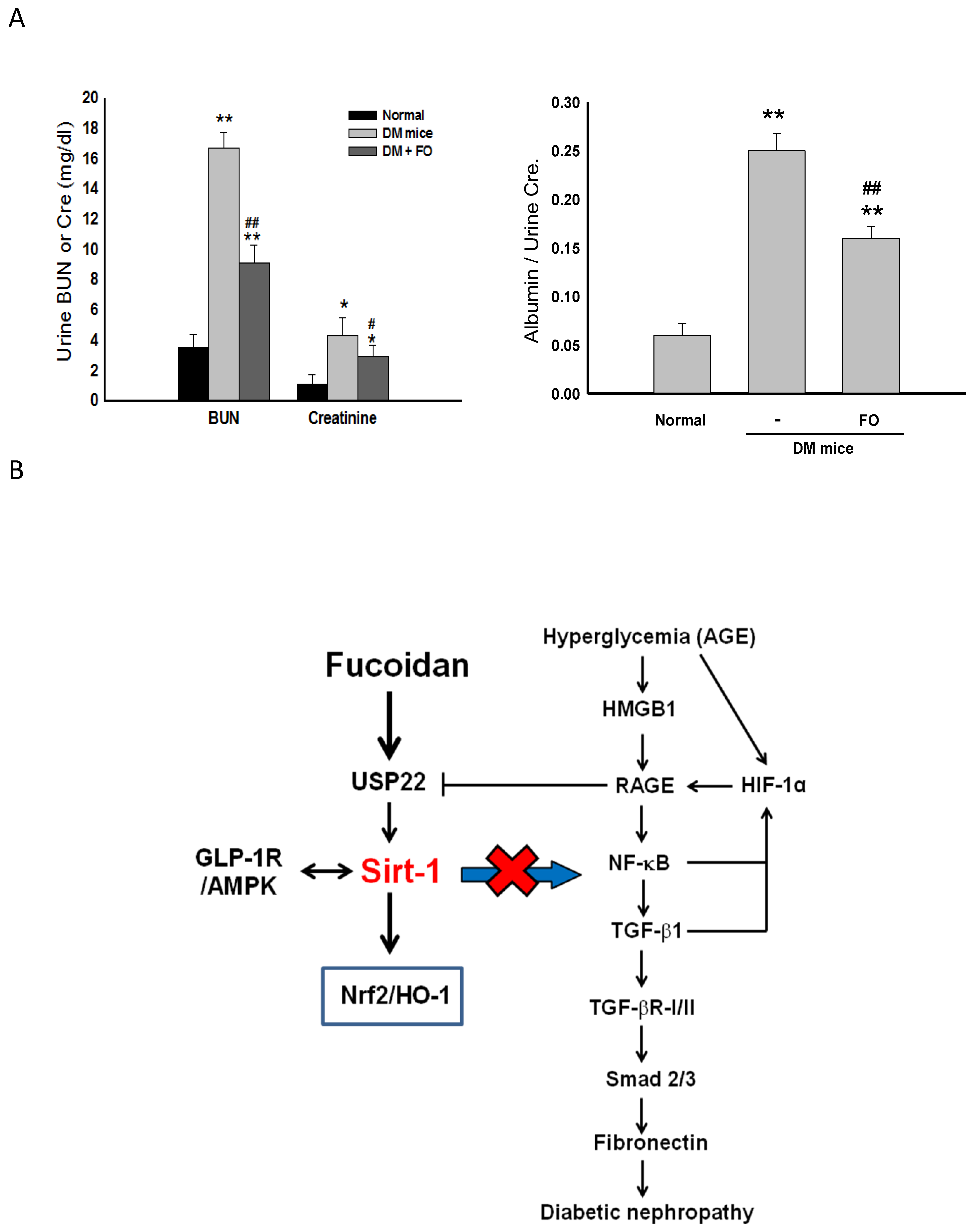 Nutrients 12 03068 g006
