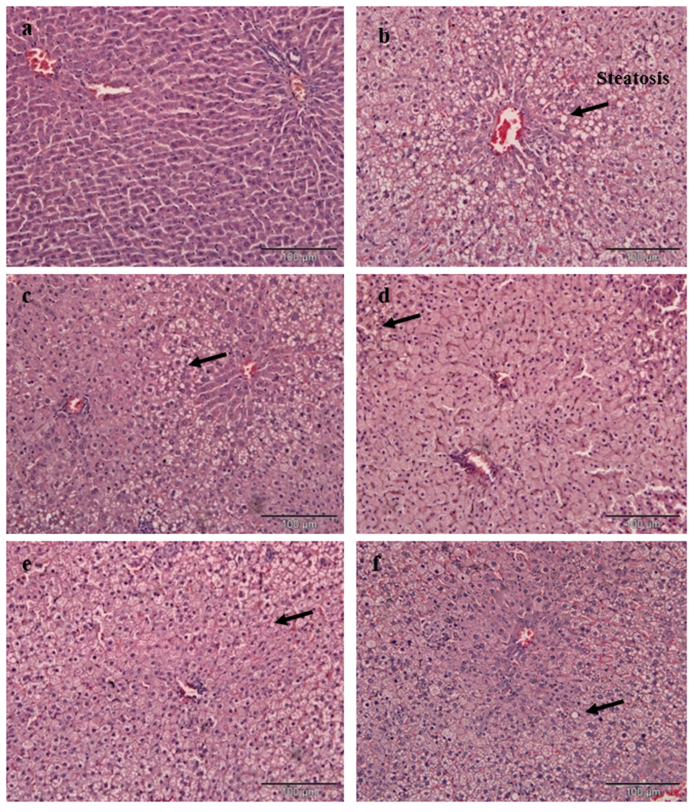 Nutrients 12 03077 g002