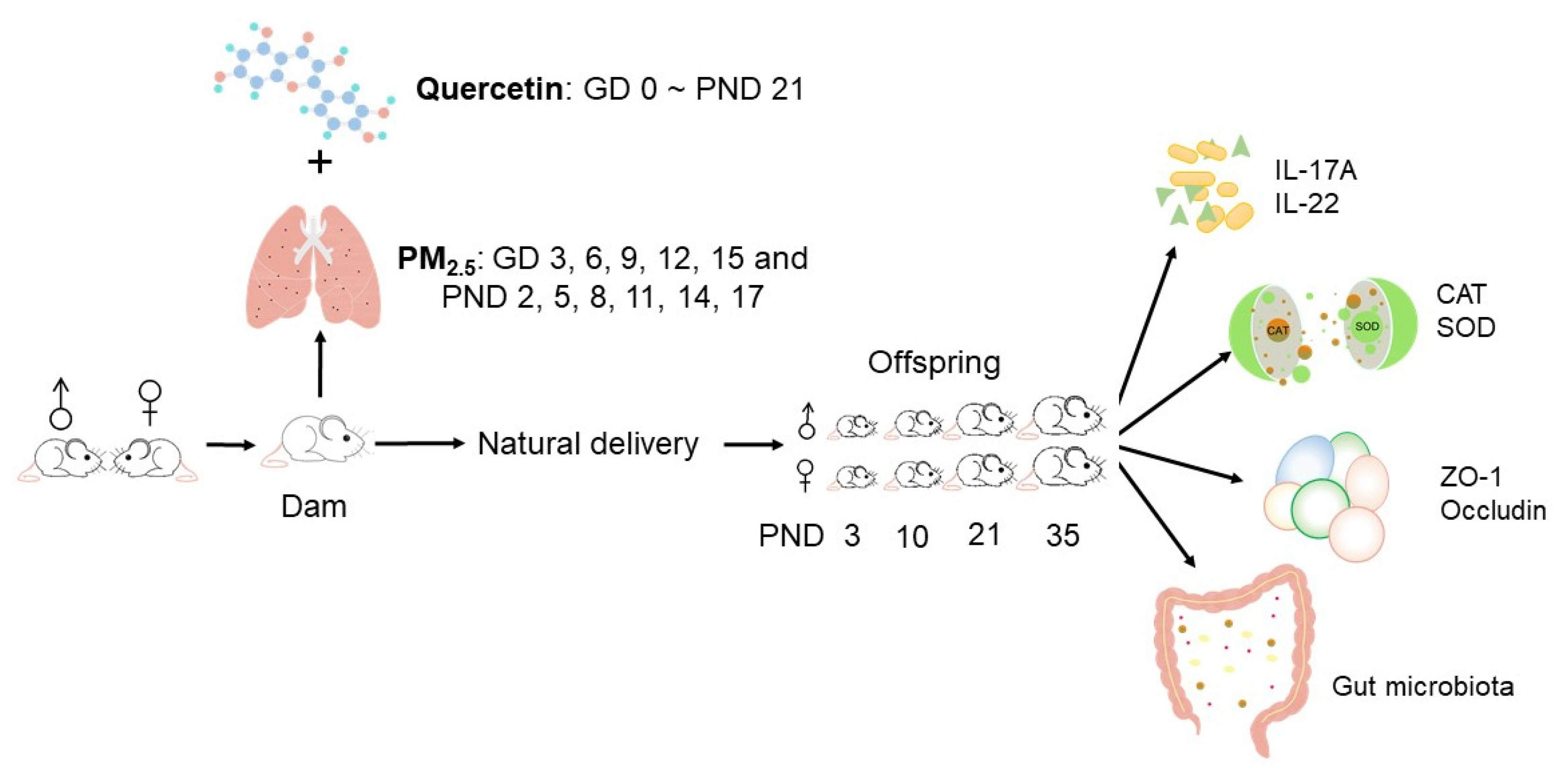 Nutrients 12 03095 g001