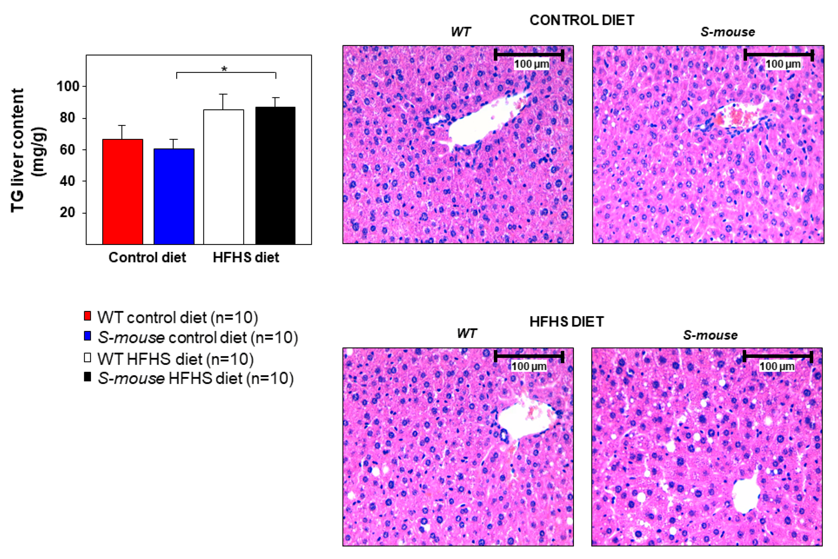 Nutrients 12 03130 g004