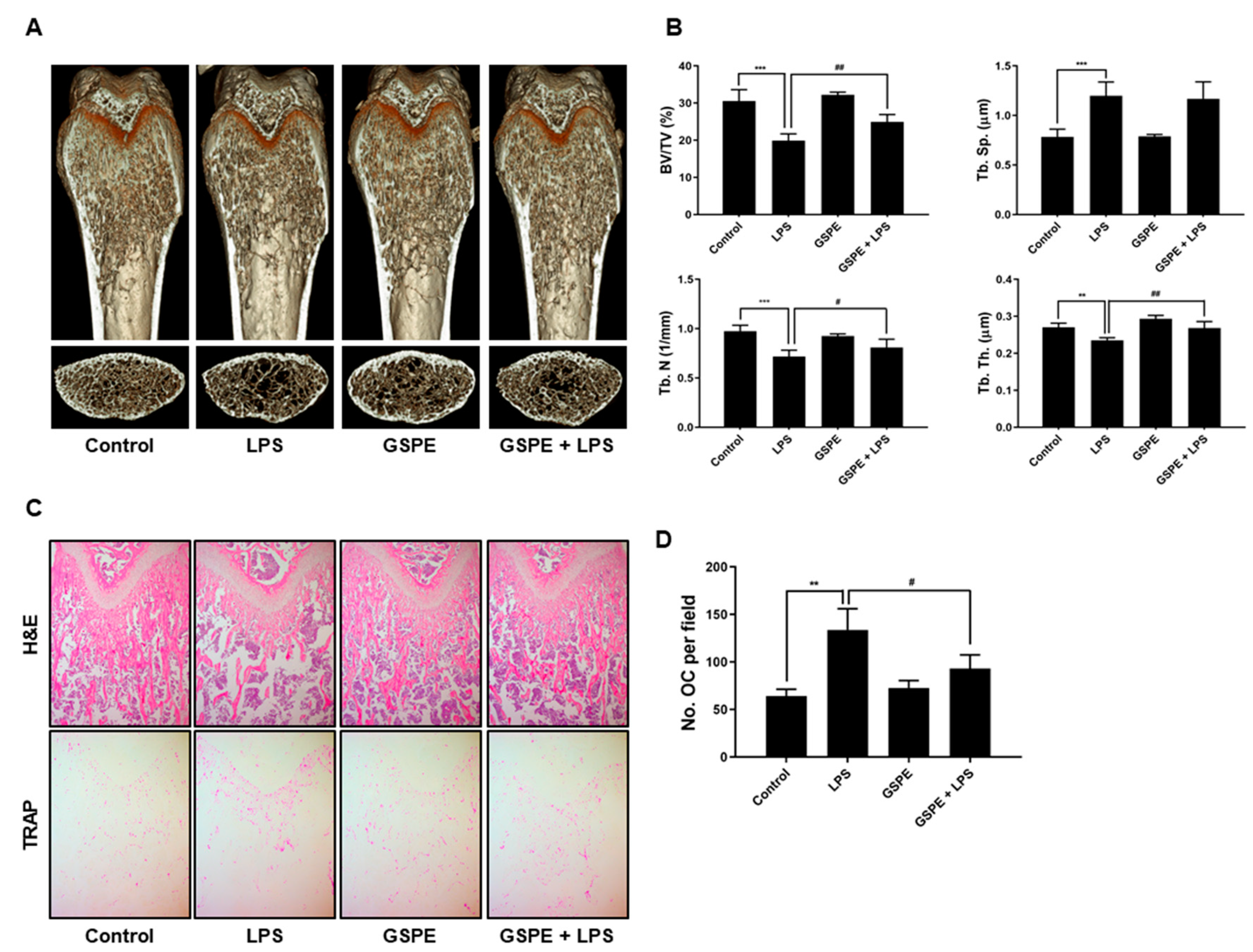 Nutrients 12 03164 g001 Nutrients 12 03164 g001