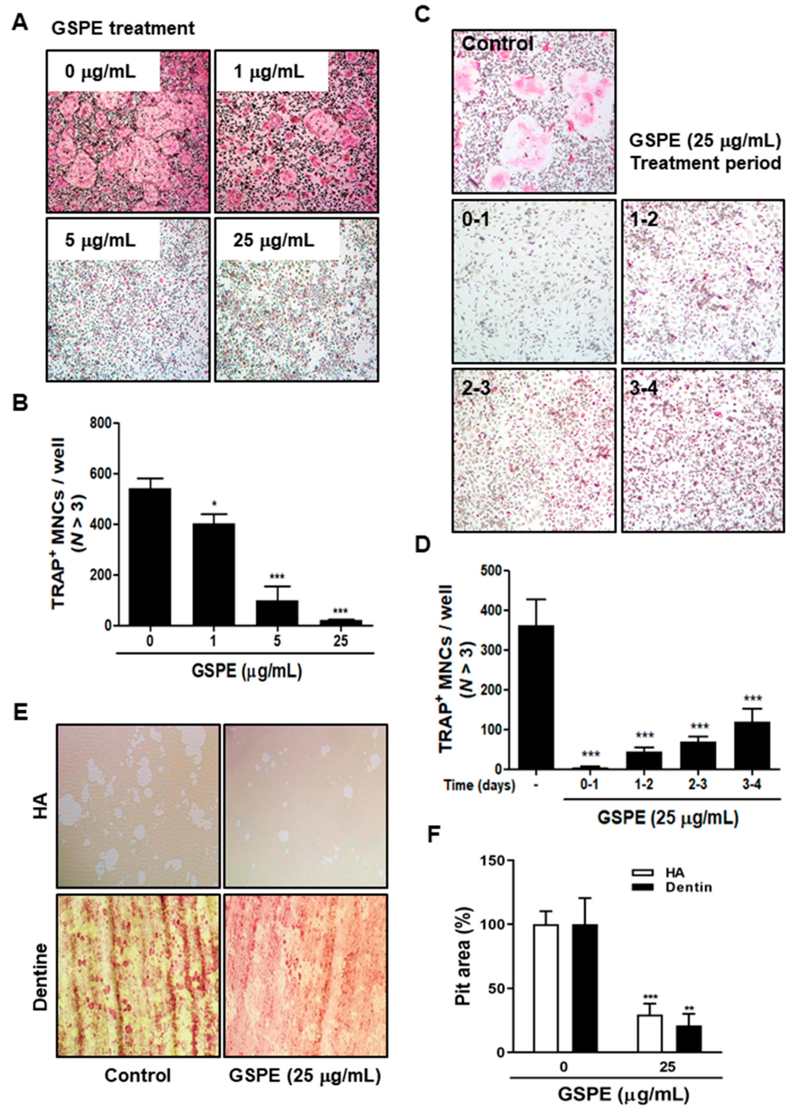 Nutrients 12 03164 g002 Nutrients 12 03164 g002