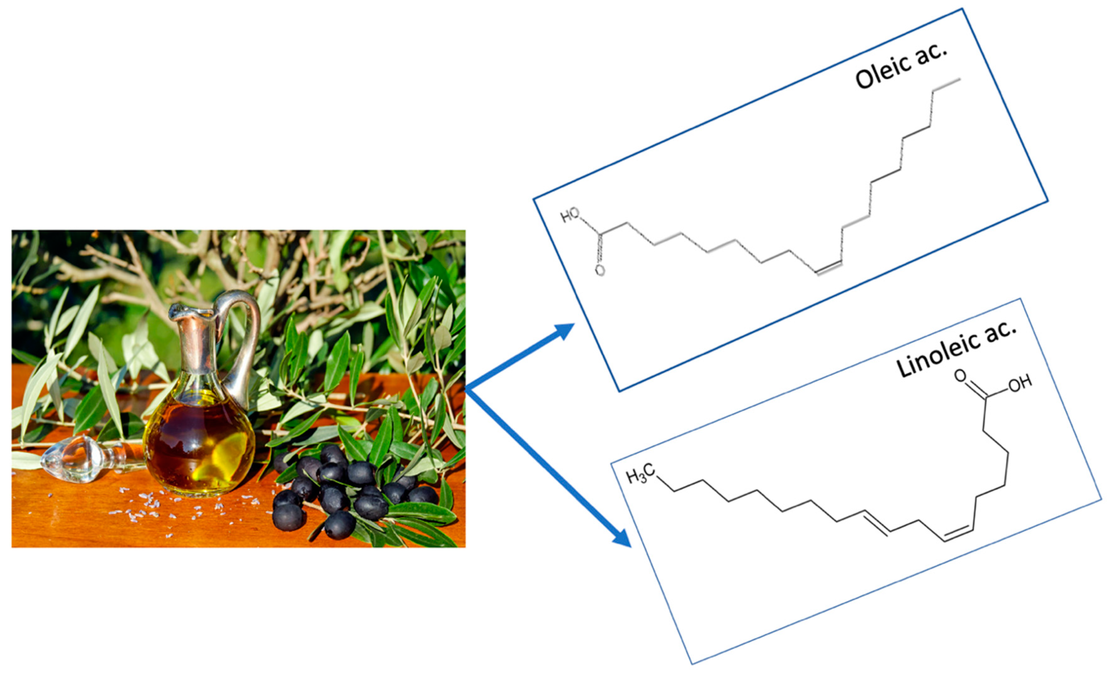 Nutrients 12 03184 g003