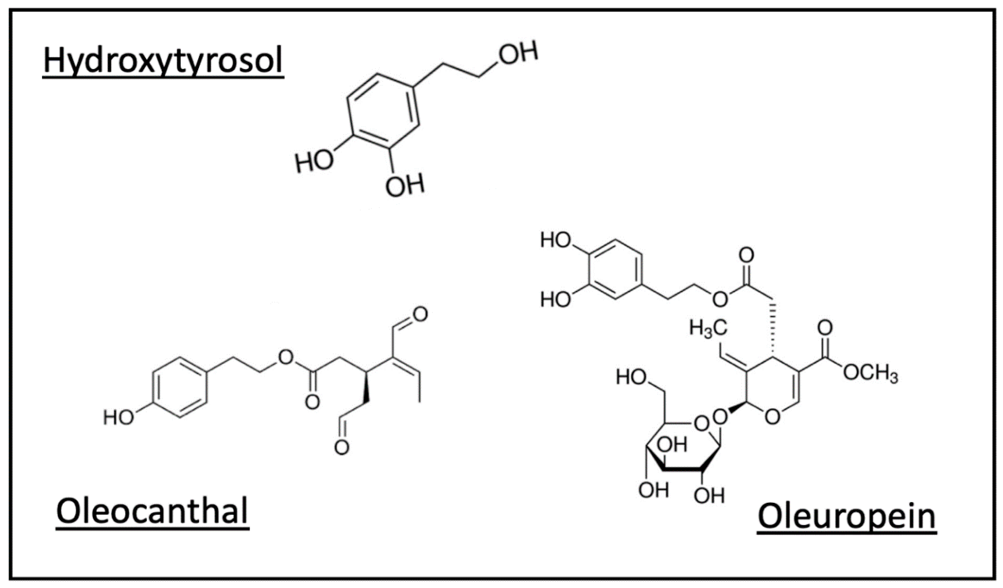 Nutrients 12 03184 g004