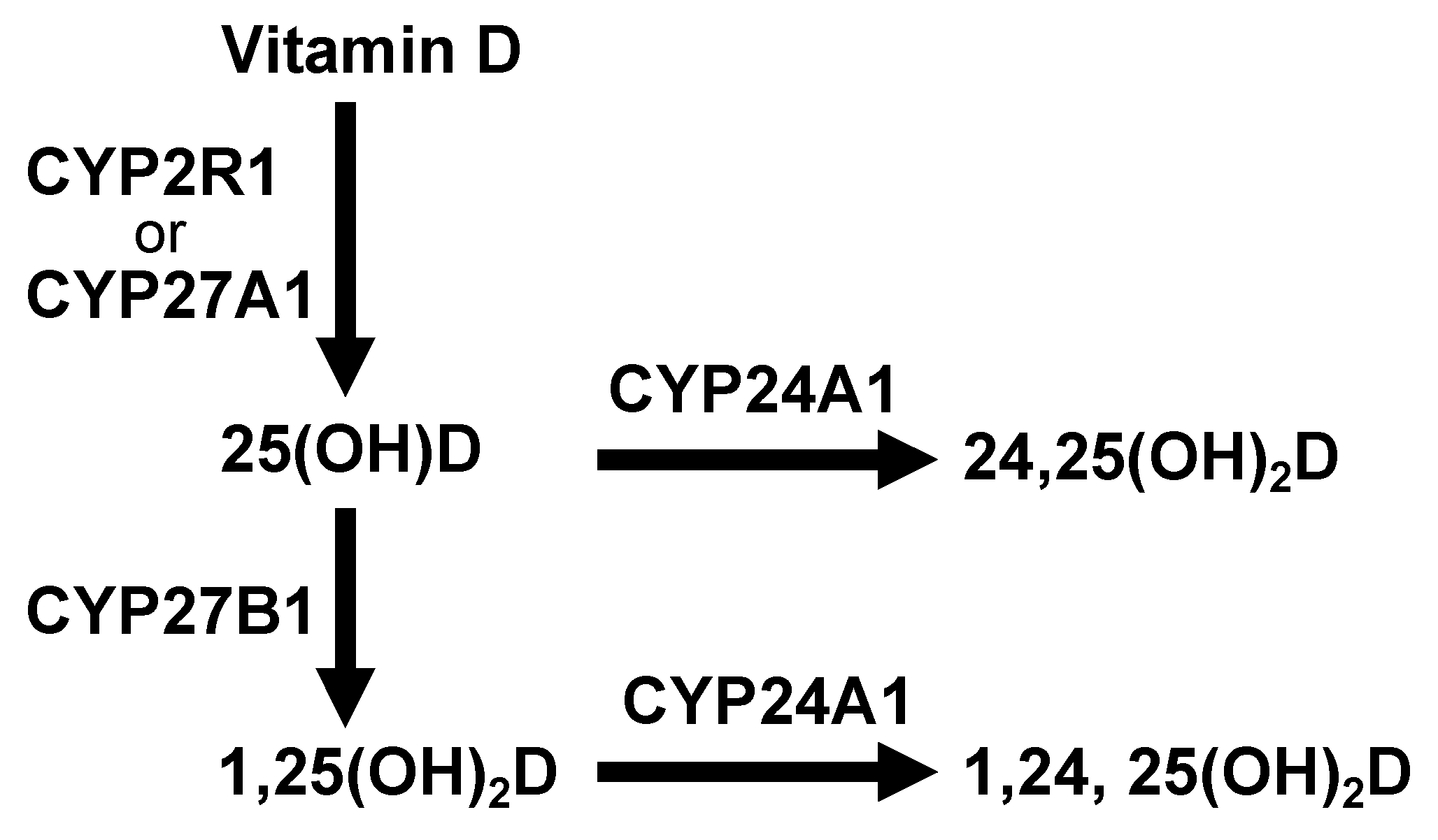 Nutrients 12 03189 g001