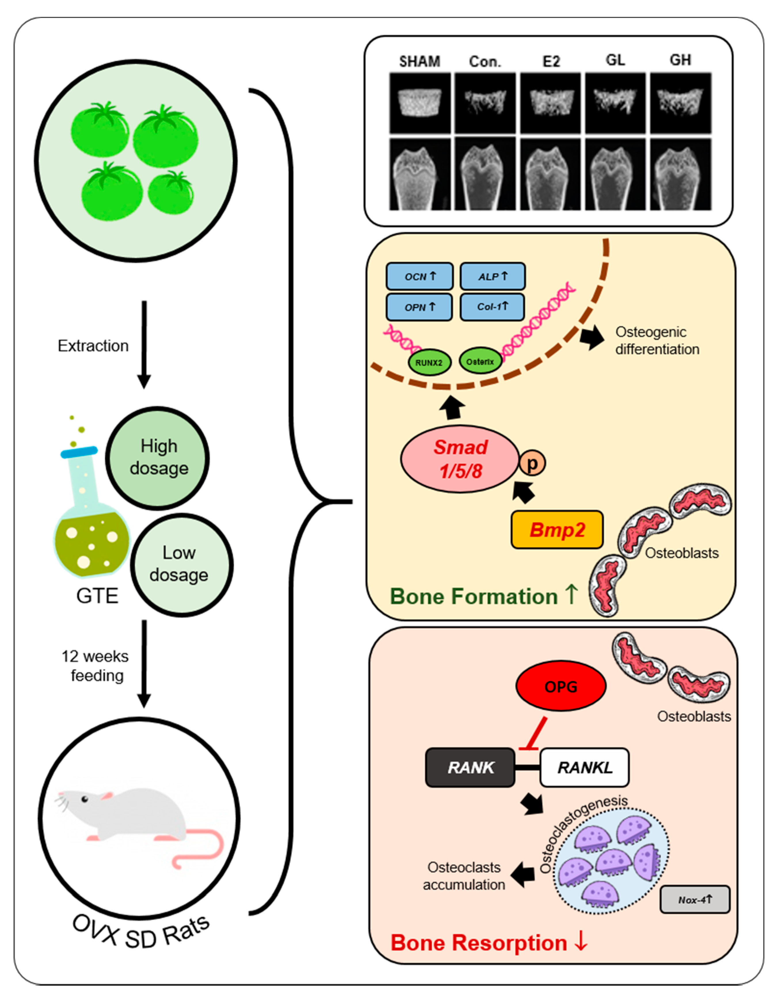 Nutrients 12 03210 g007