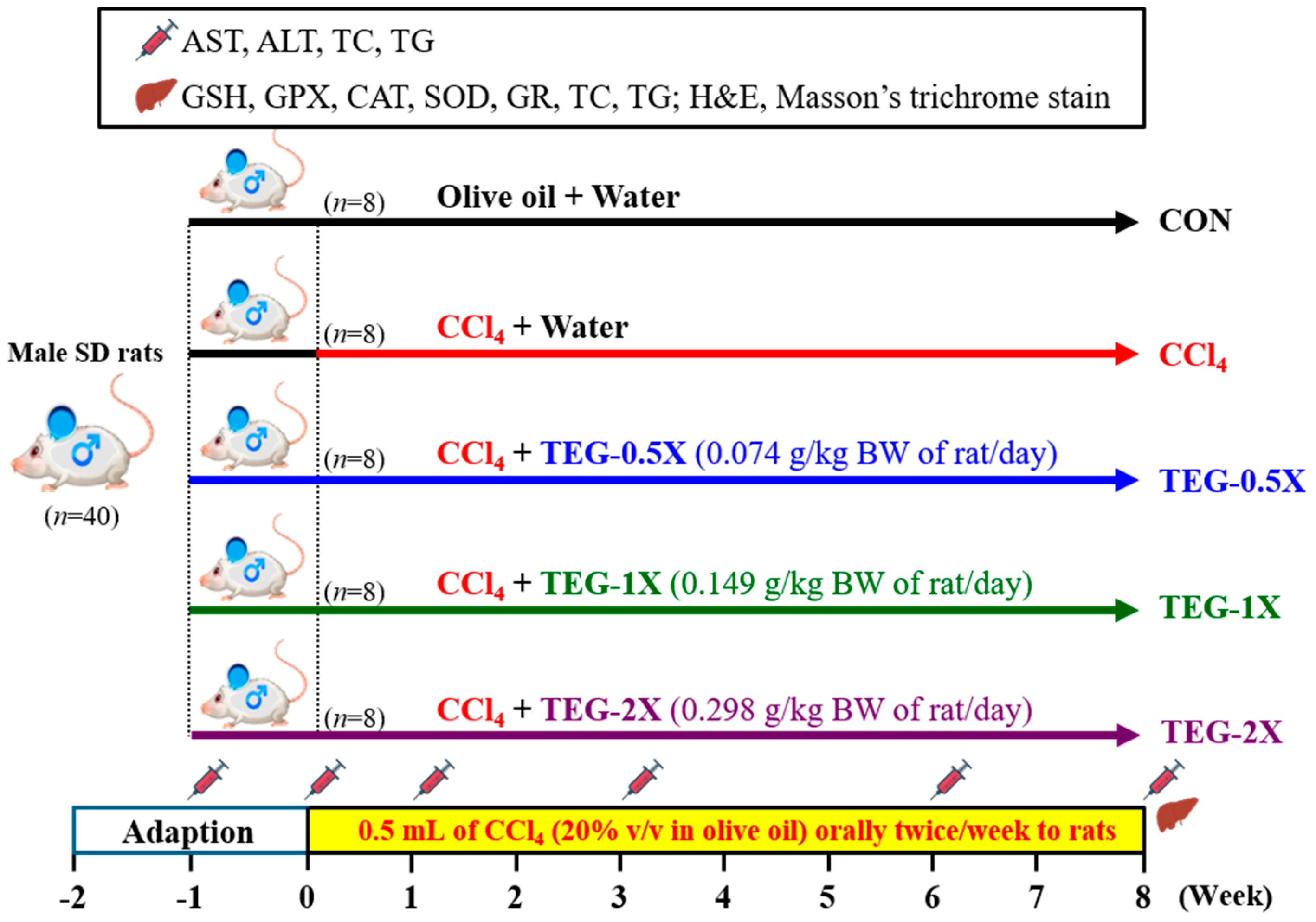 Nutrients 12 03214 g001