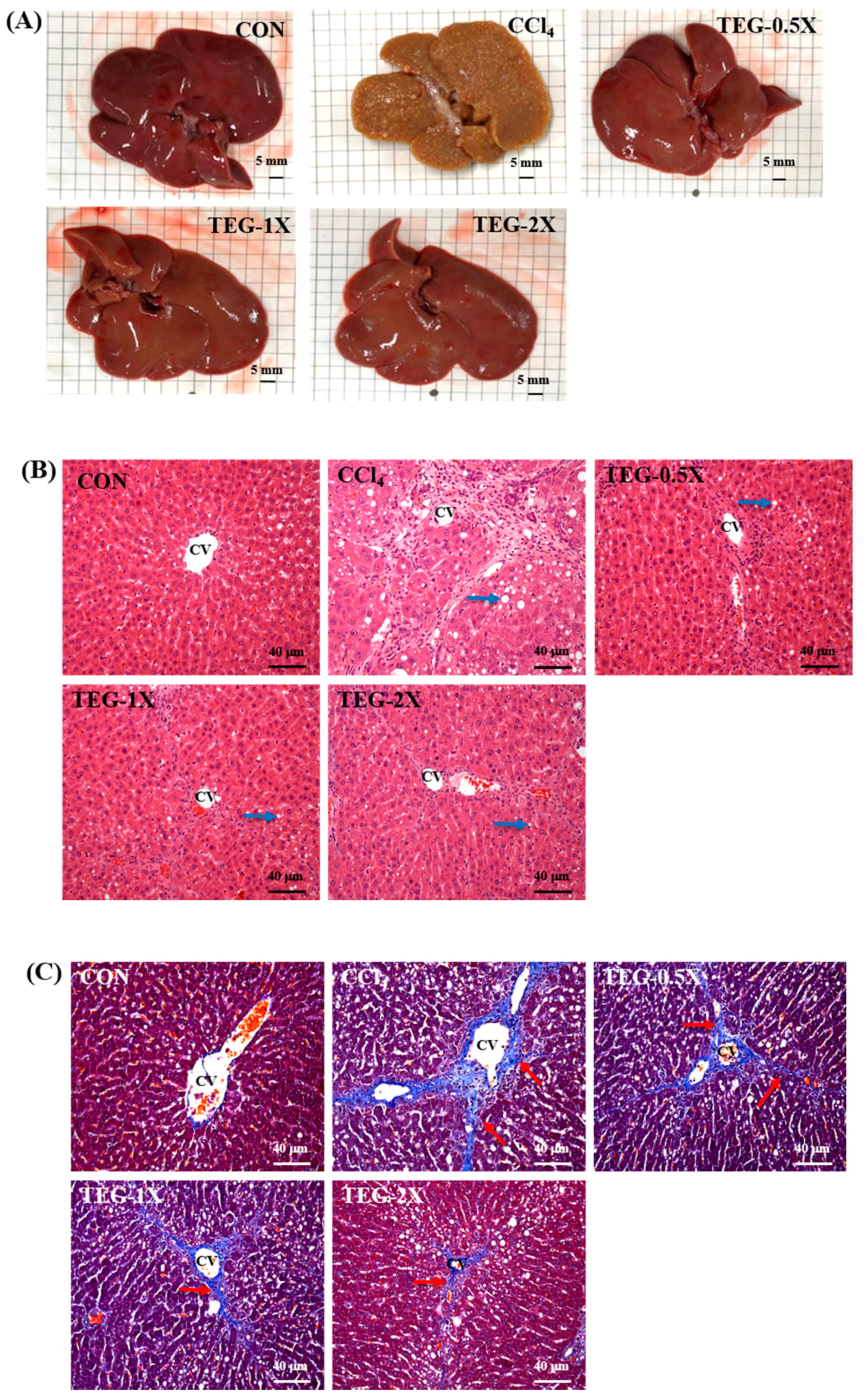 Nutrients 12 03214 g005