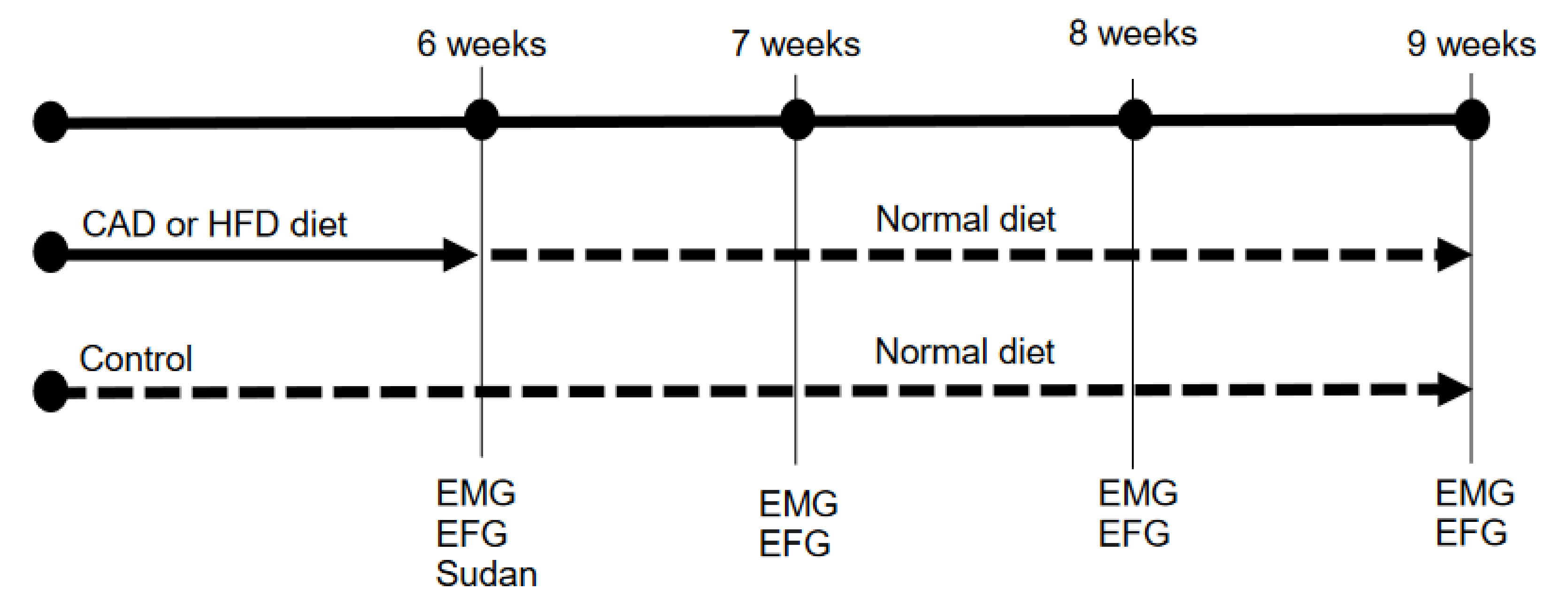 Nutrients 12 03216 g001 Nutrients 12 03216 g001