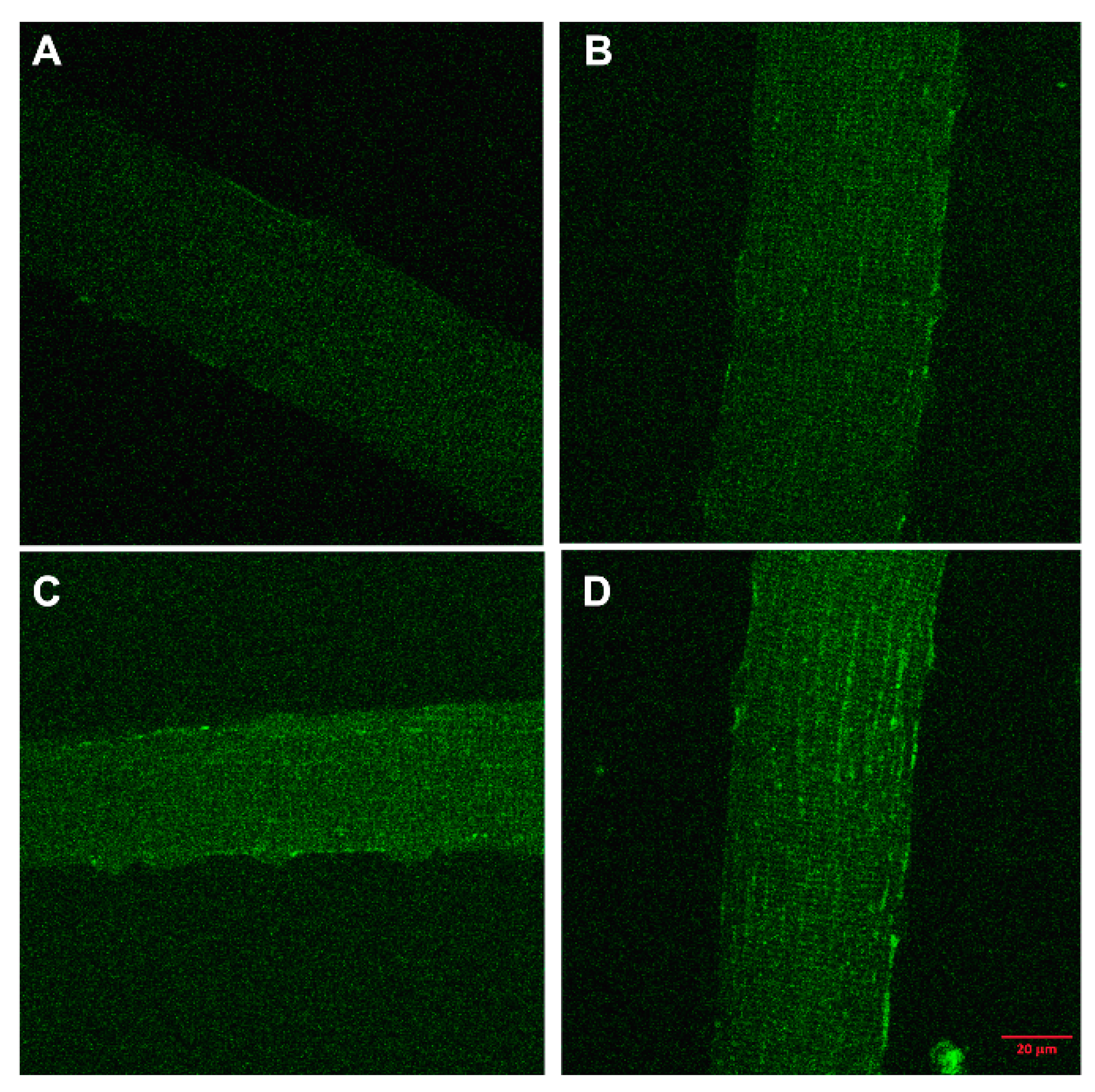 Nutrients 12 03270 g003