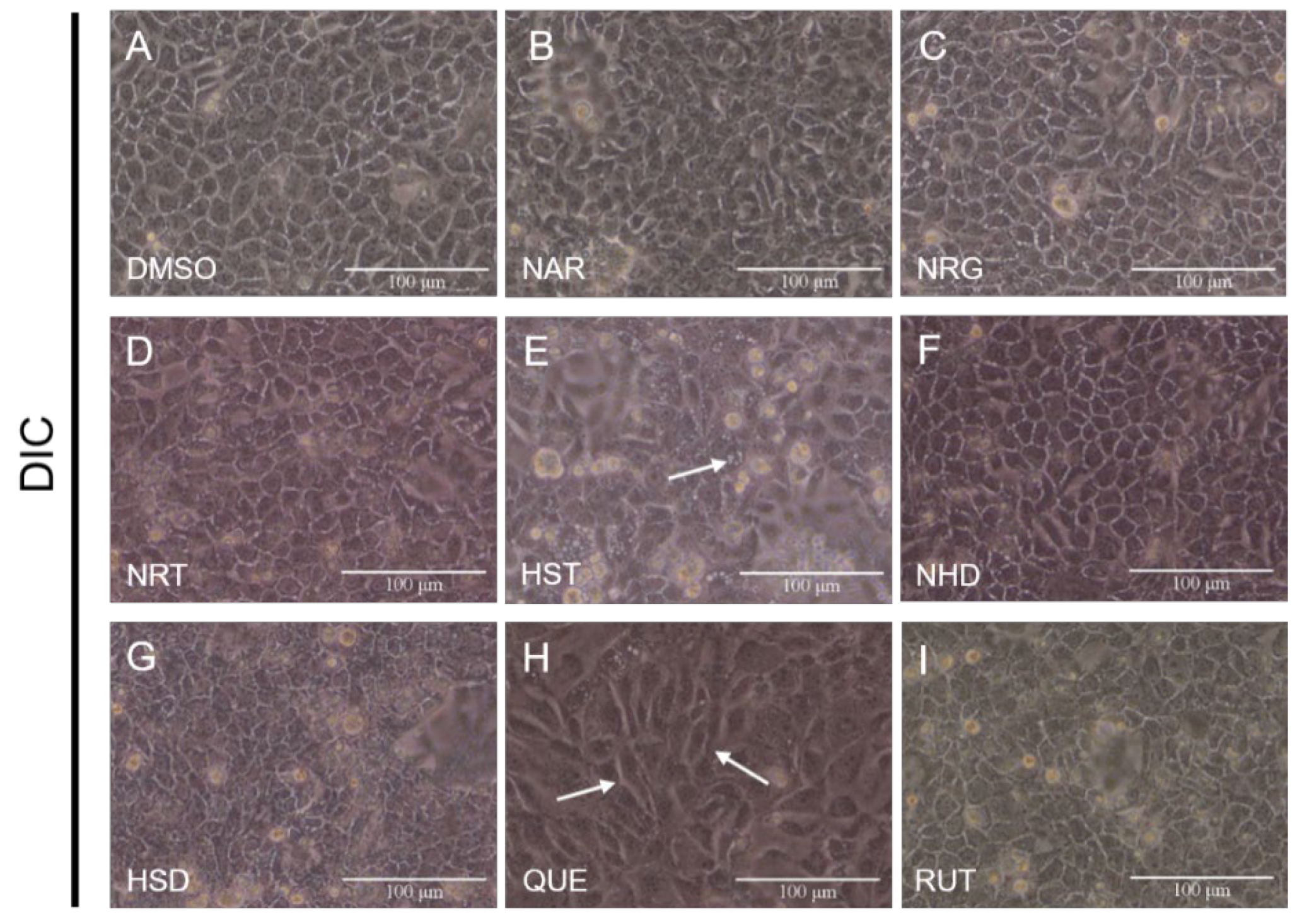 Nutrients 12 03285 g002