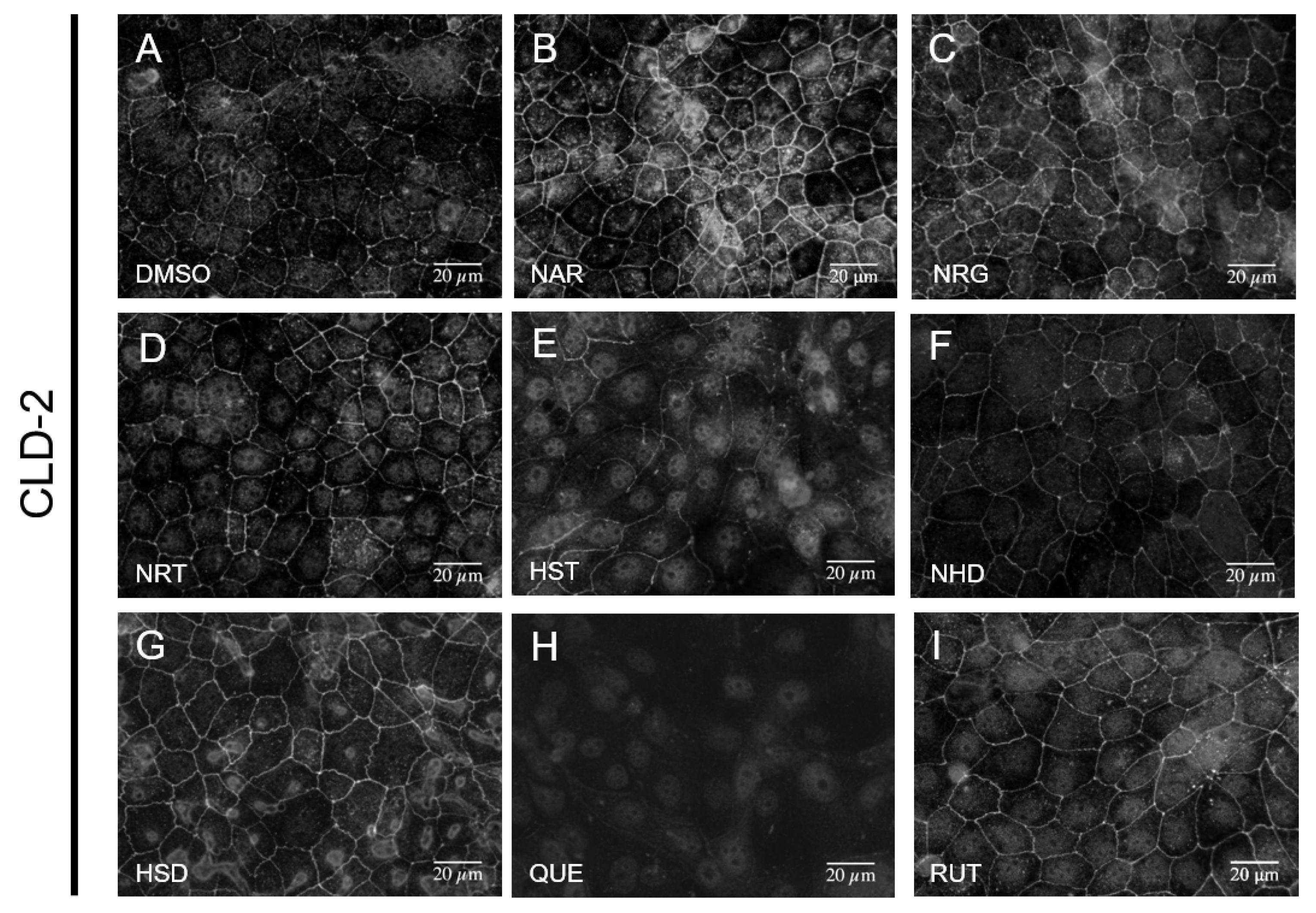 Nutrients 12 03285 g003