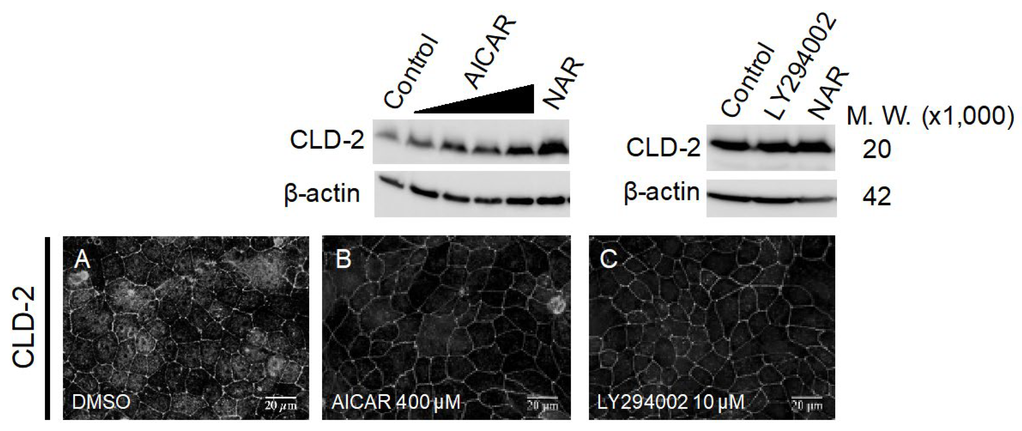 Nutrients 12 03285 g007