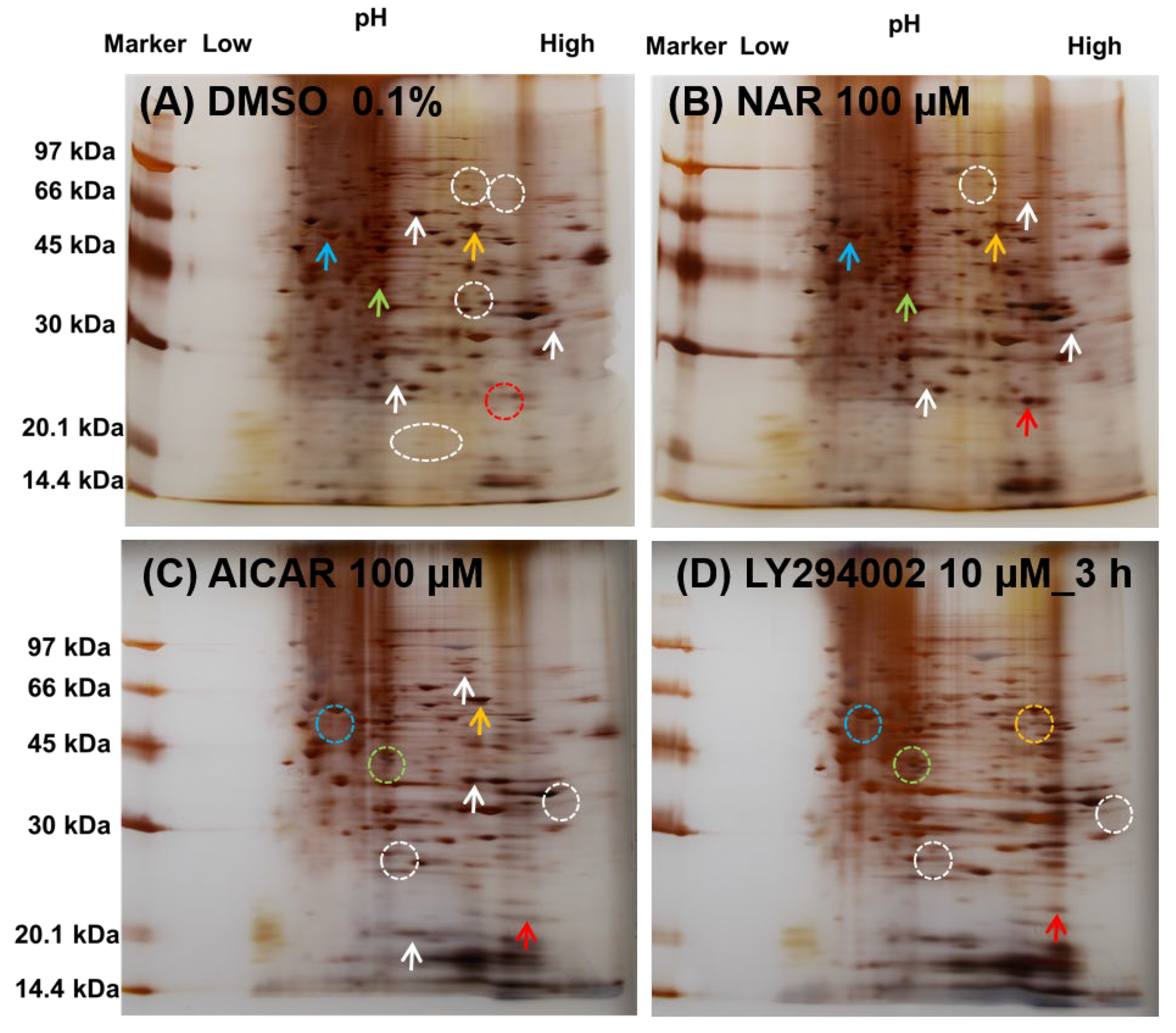 Nutrients 12 03285 g008