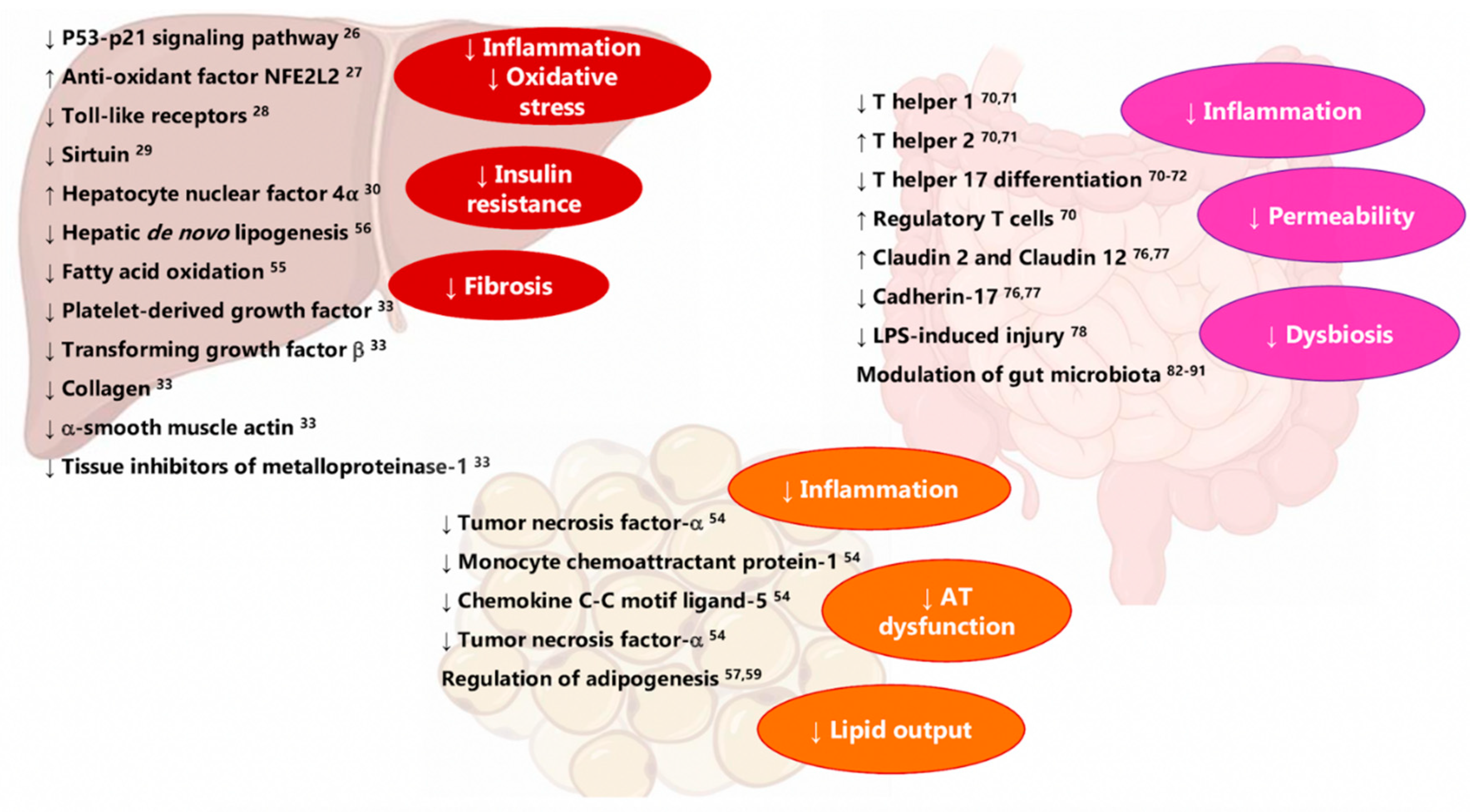 Nutrients 12 03302 g001 Nutrients 12 03302 g001