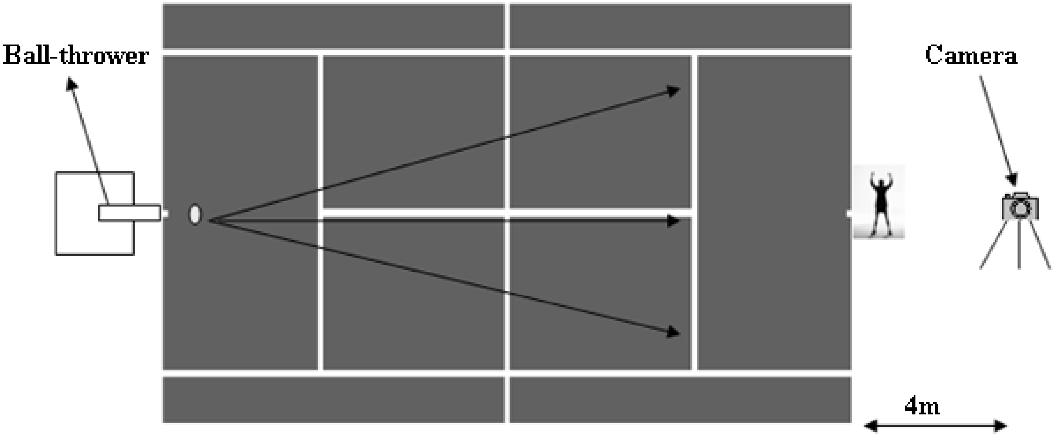 Nutrients 12 03306 g002