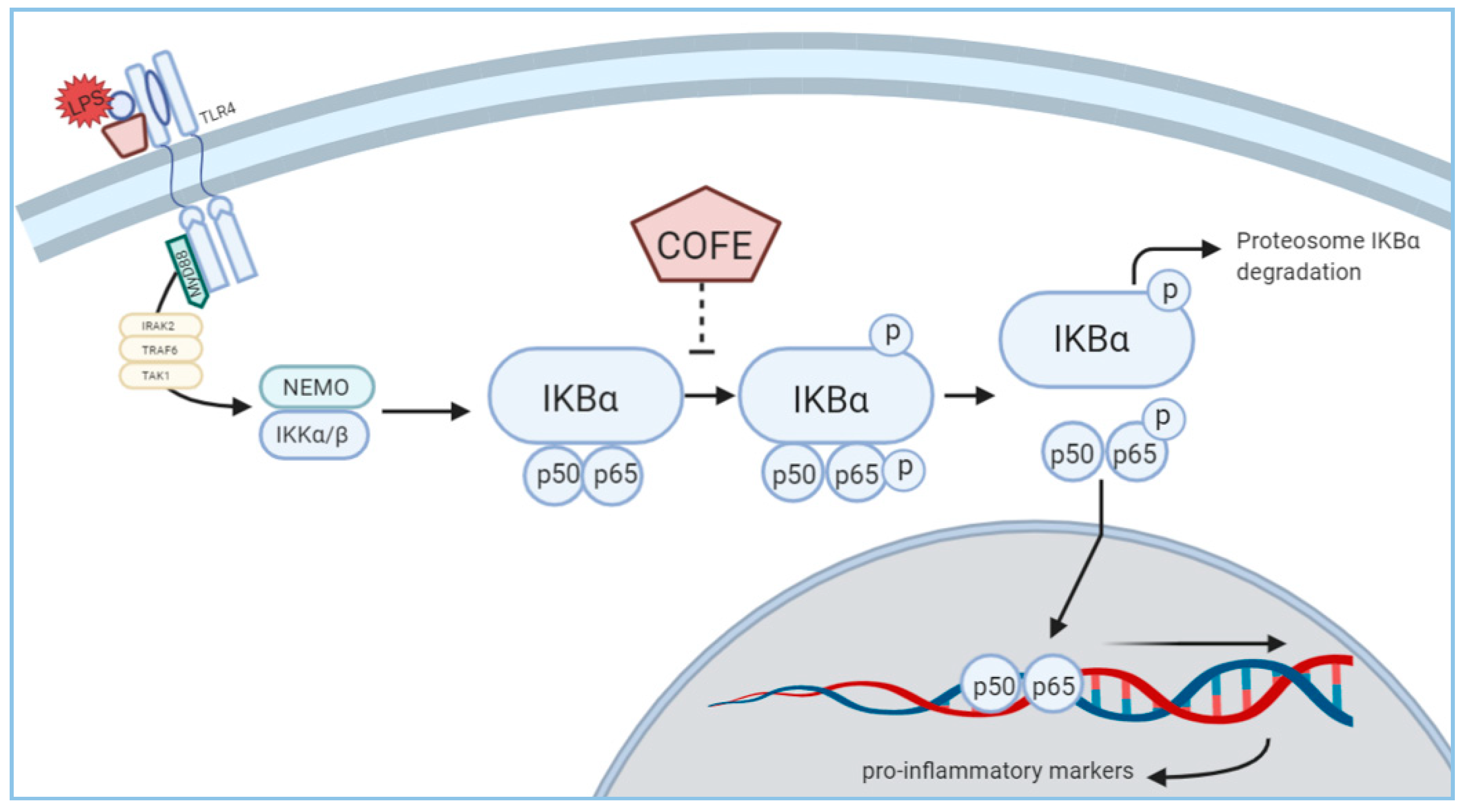 Nutrients 12 03317 g004