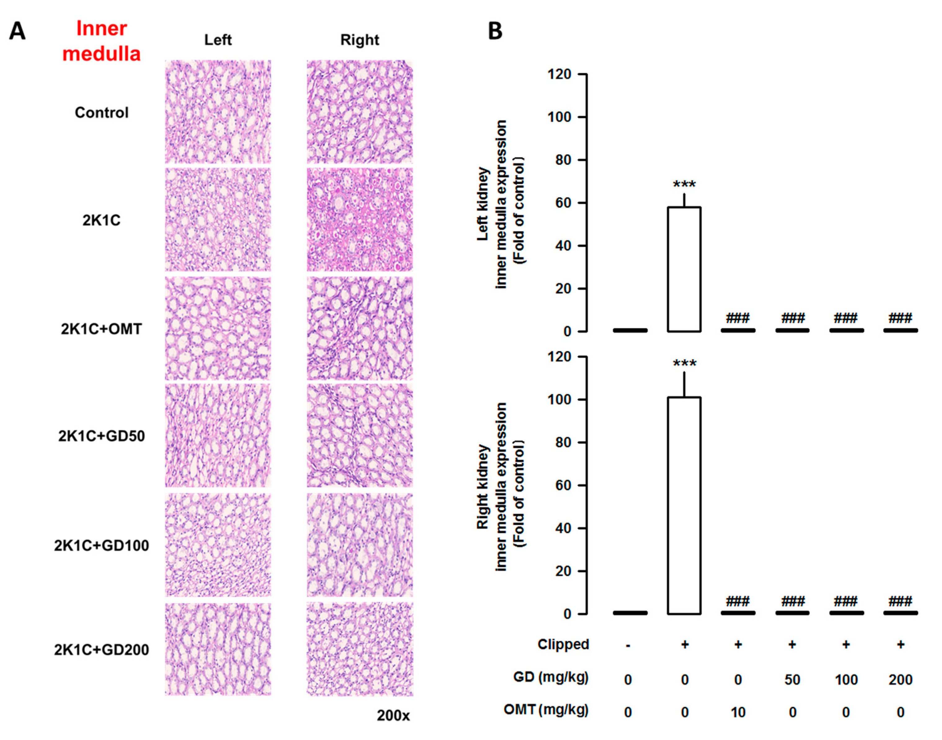 Nutrients 12 03321 g008