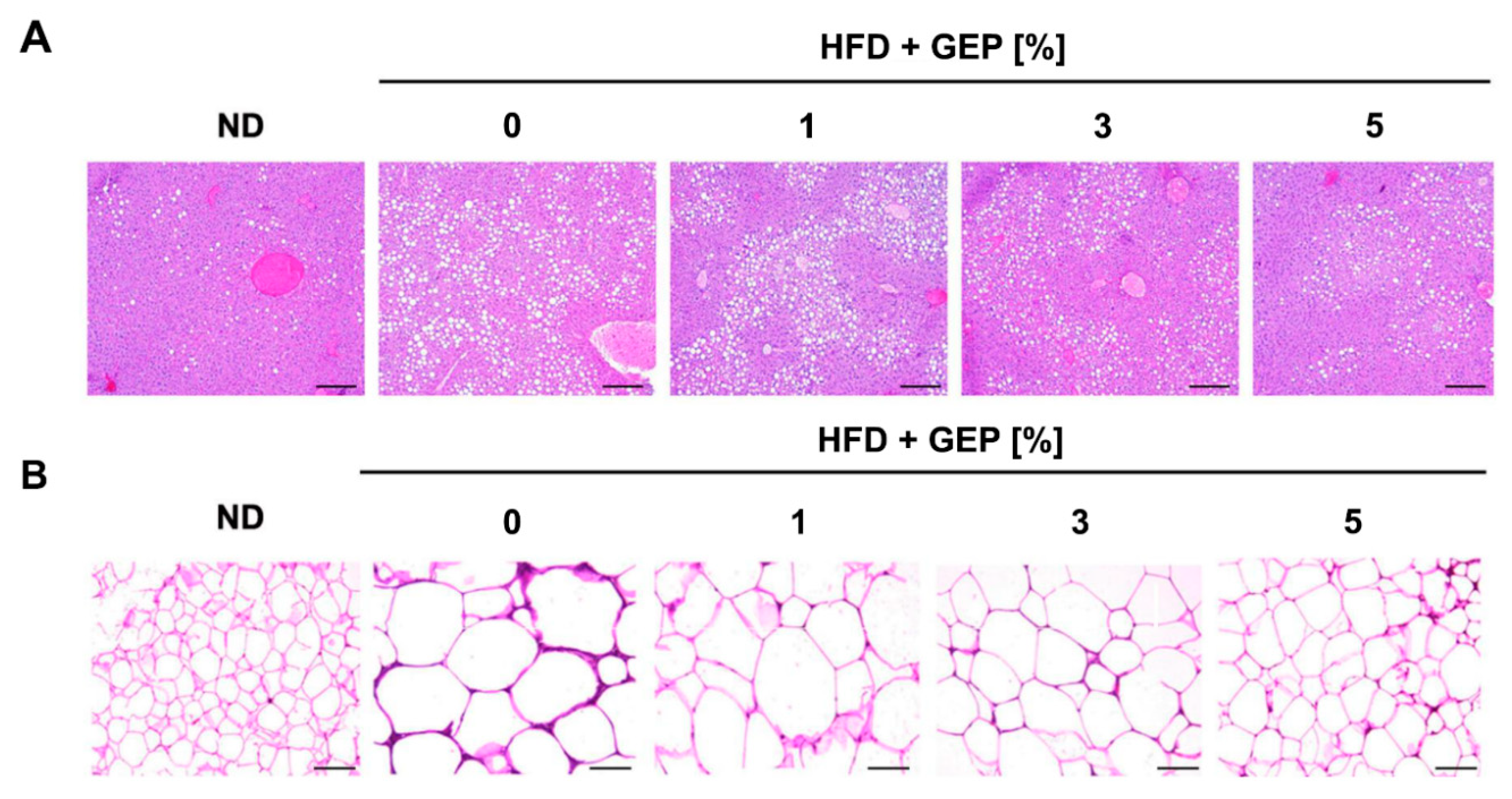 Nutrients 12 03338 g003 Nutrients 12 03338 g003