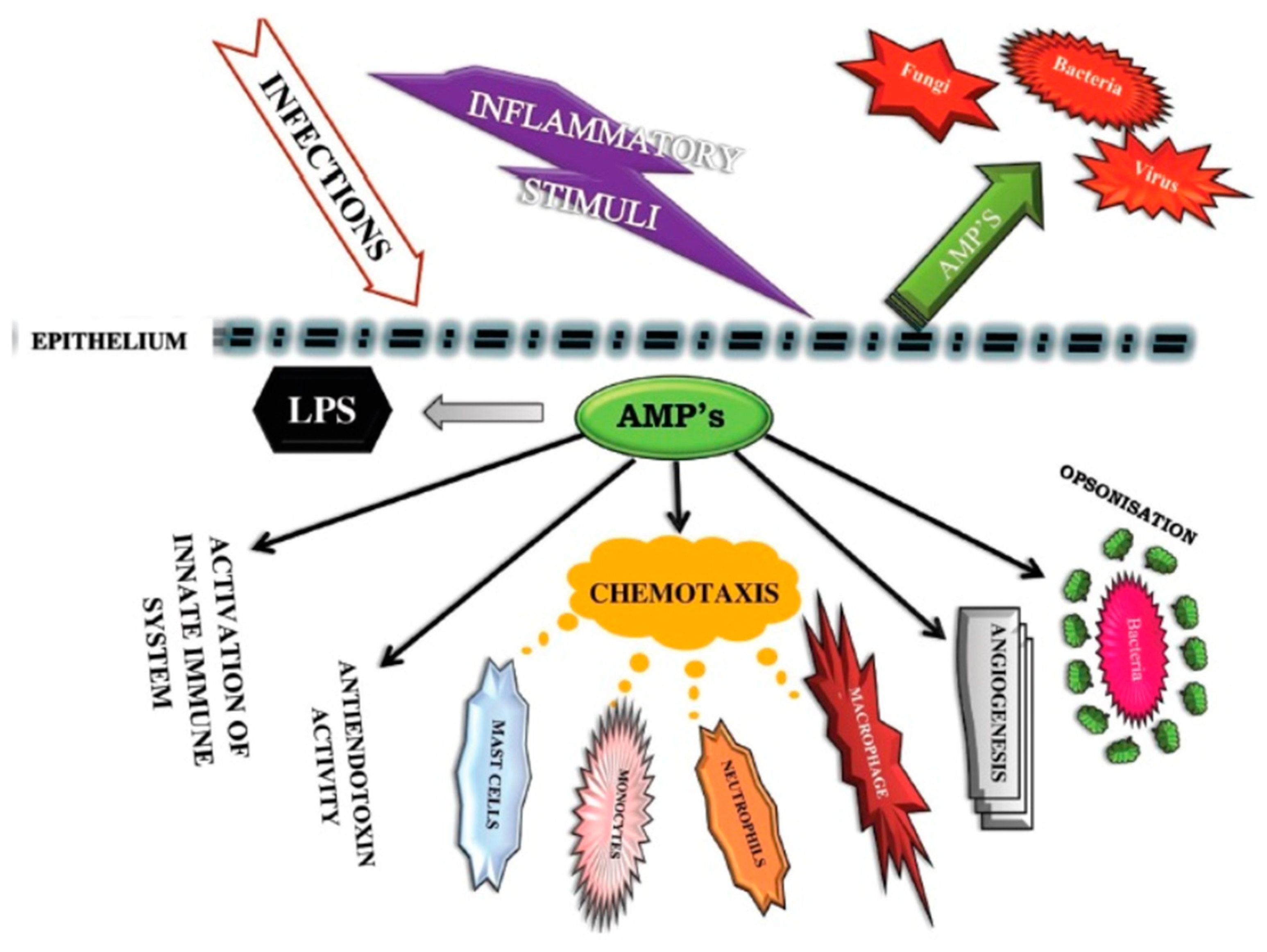 Nutrients 12 03361 g001 Nutrients 12 03361 g001
