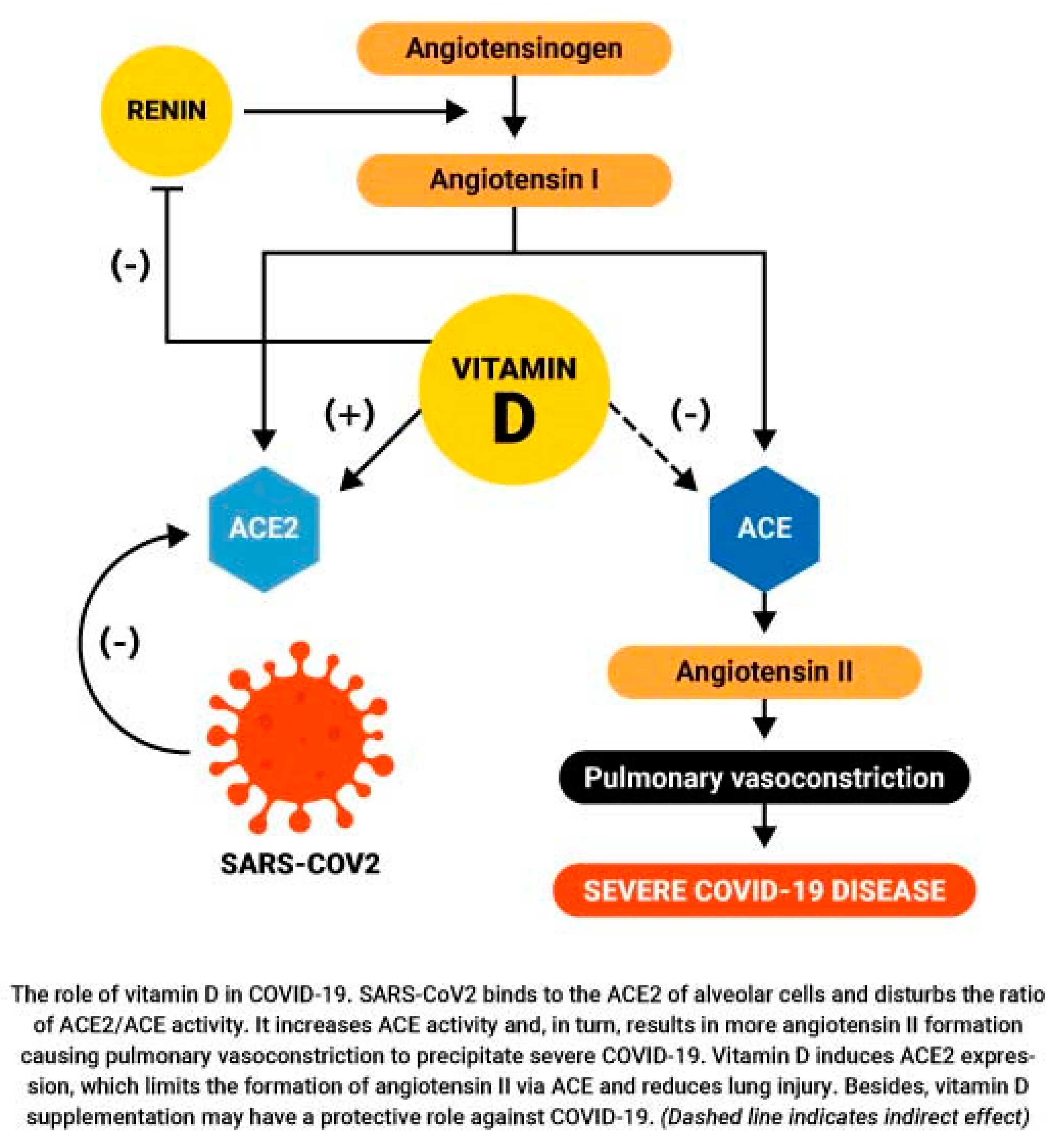Nutrients 12 03361 g002 Nutrients 12 03361 g002