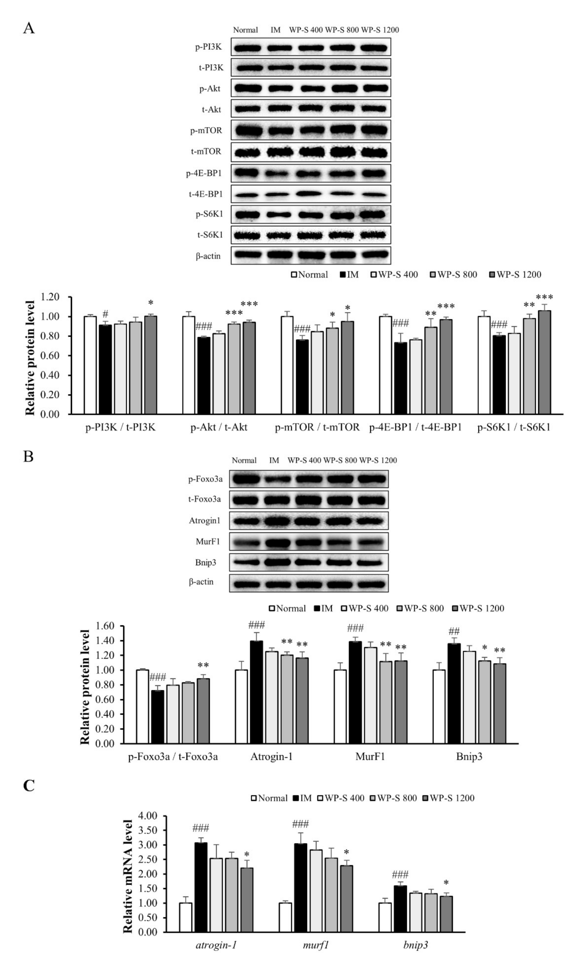 Nutrients 12 03362 g004