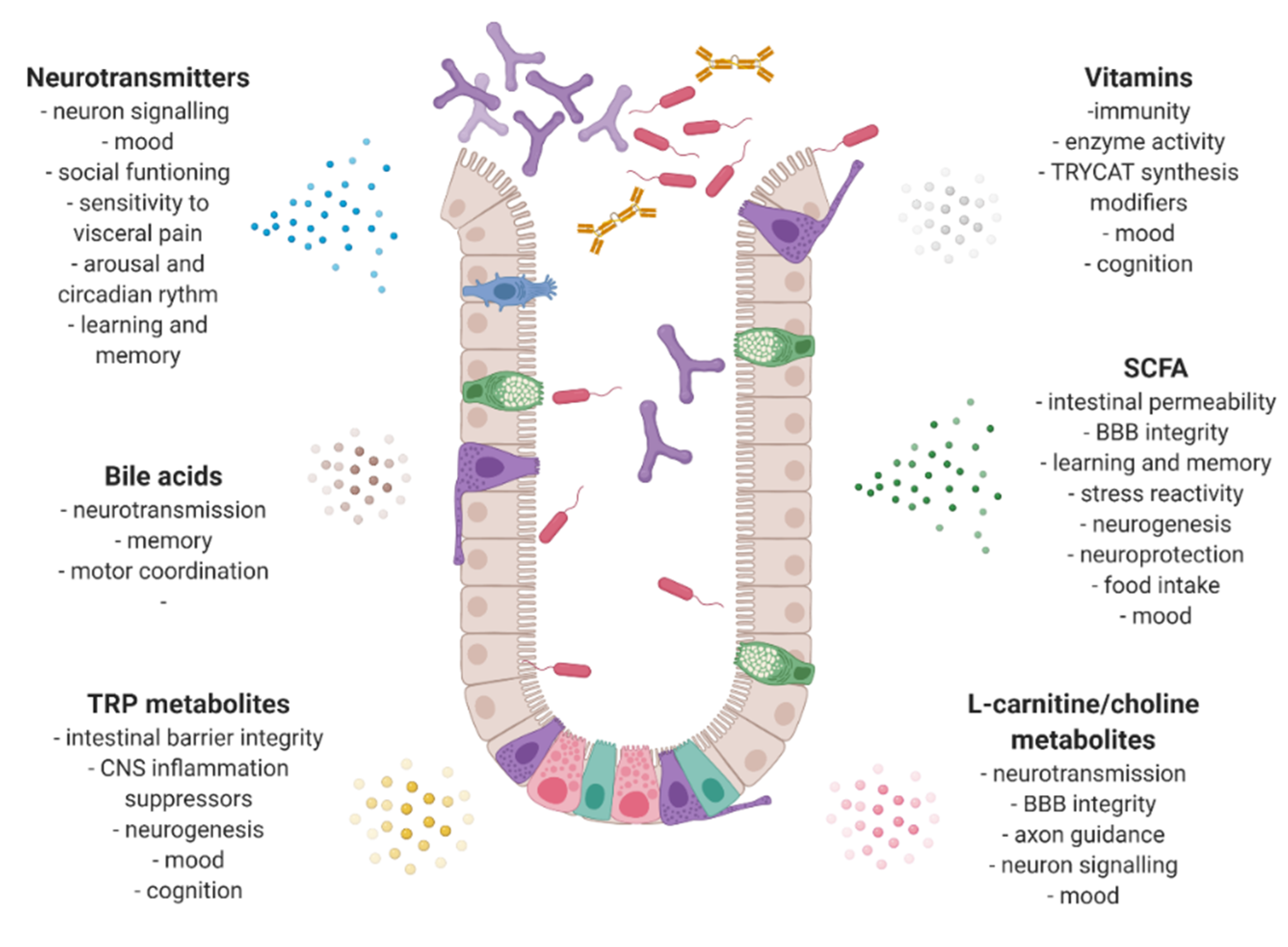 Nutrients 12 03369 g001