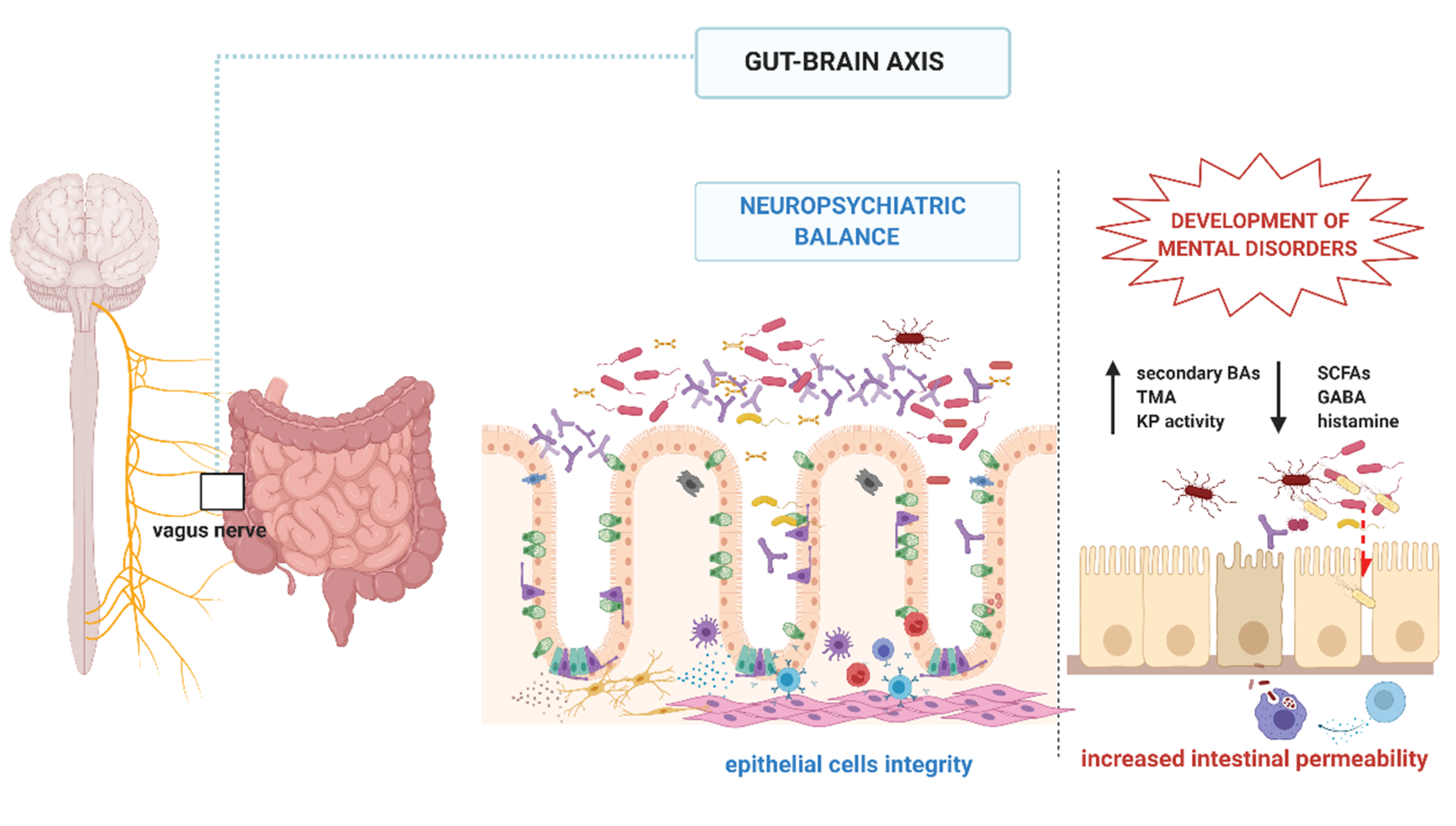Nutrients 12 03369 g002