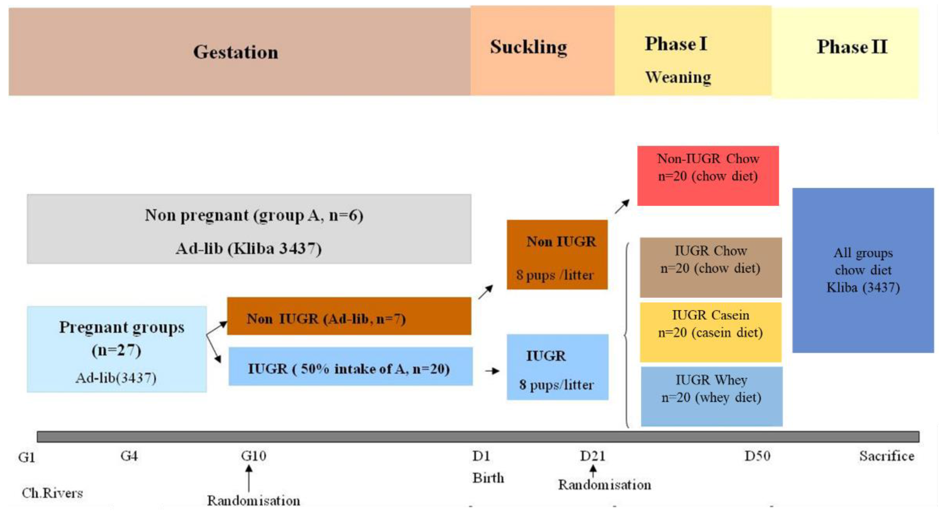 Nutrients 12 03399 g001
