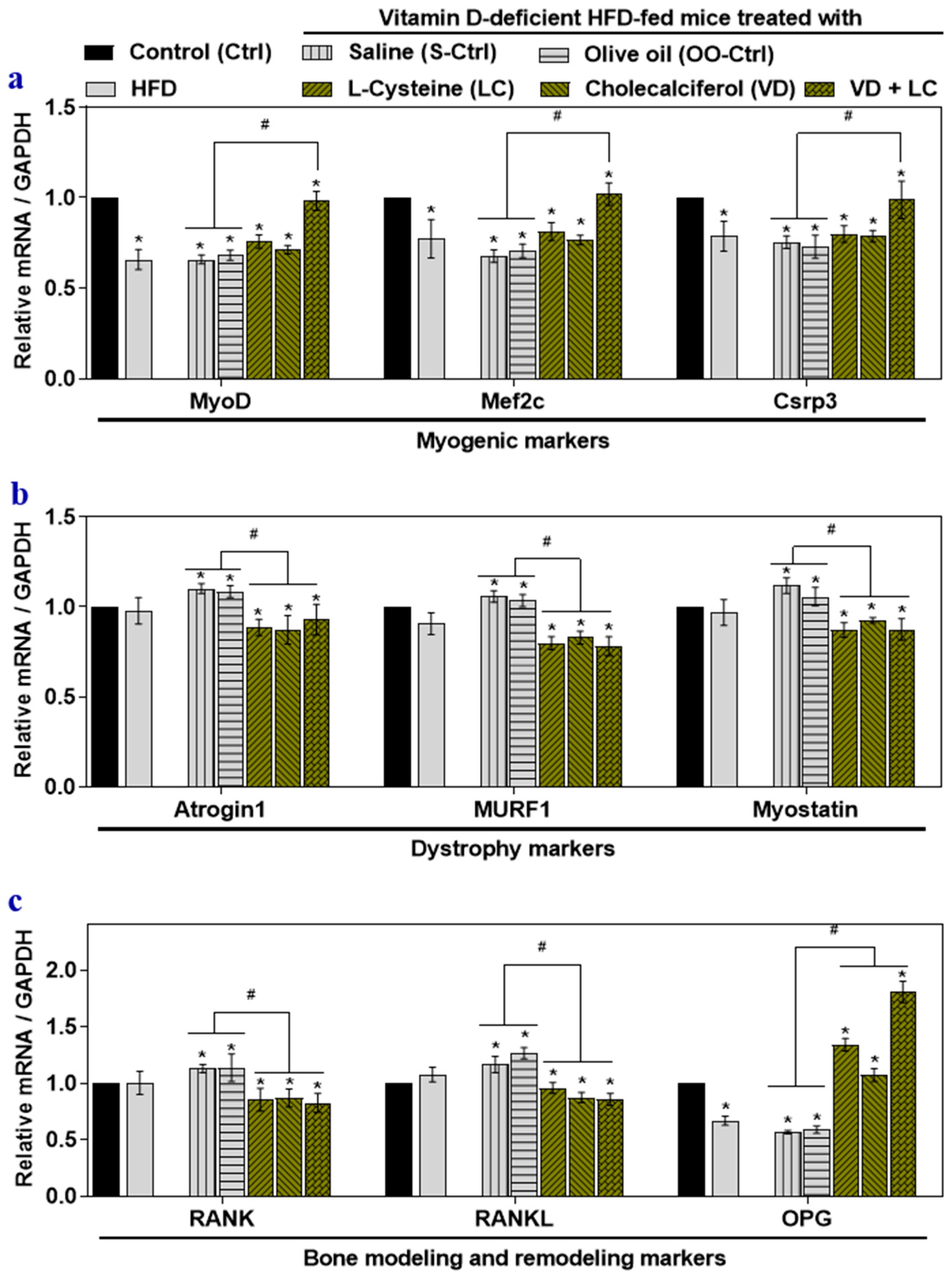 Nutrients 12 03406 g001