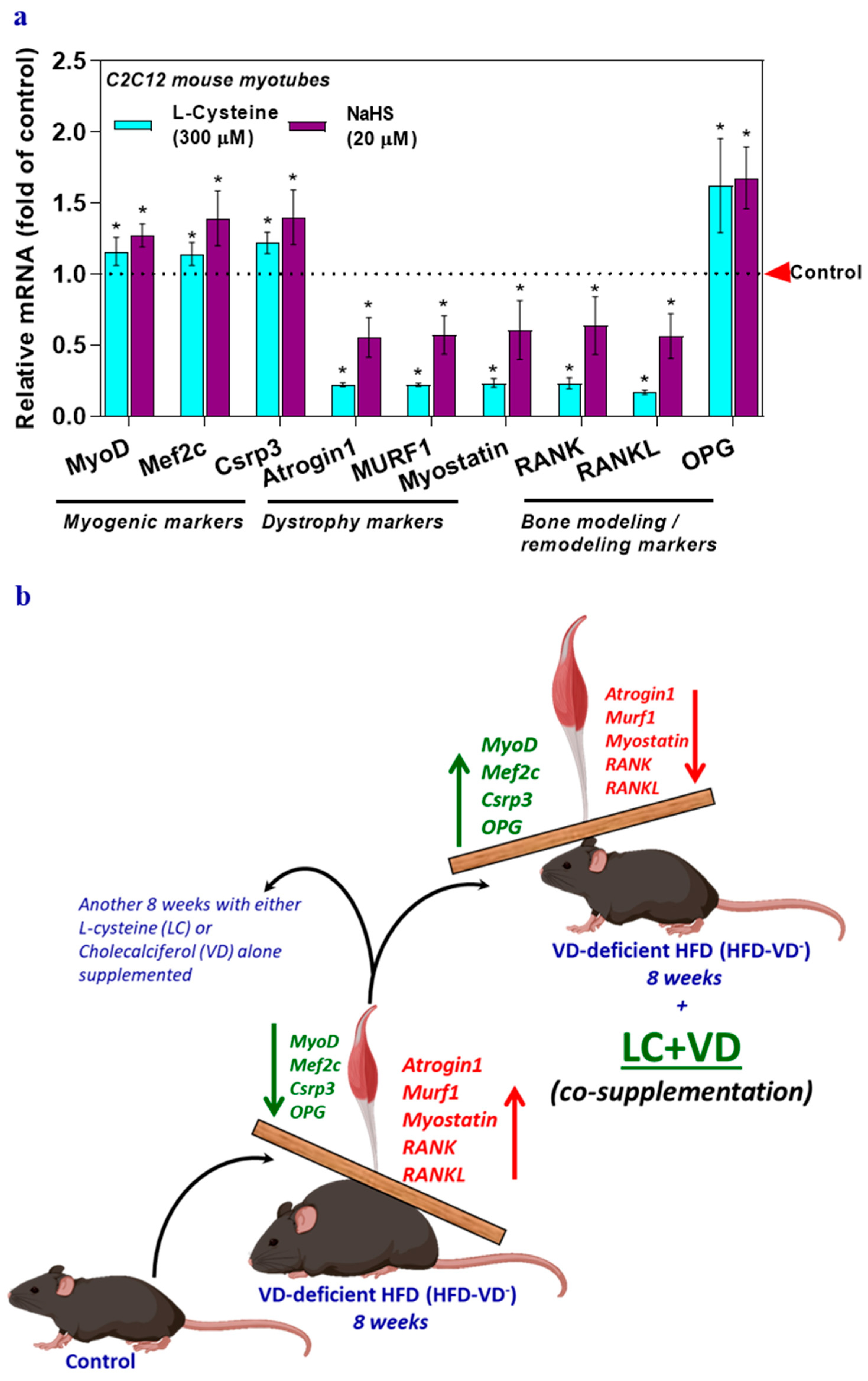 Nutrients 12 03406 g004