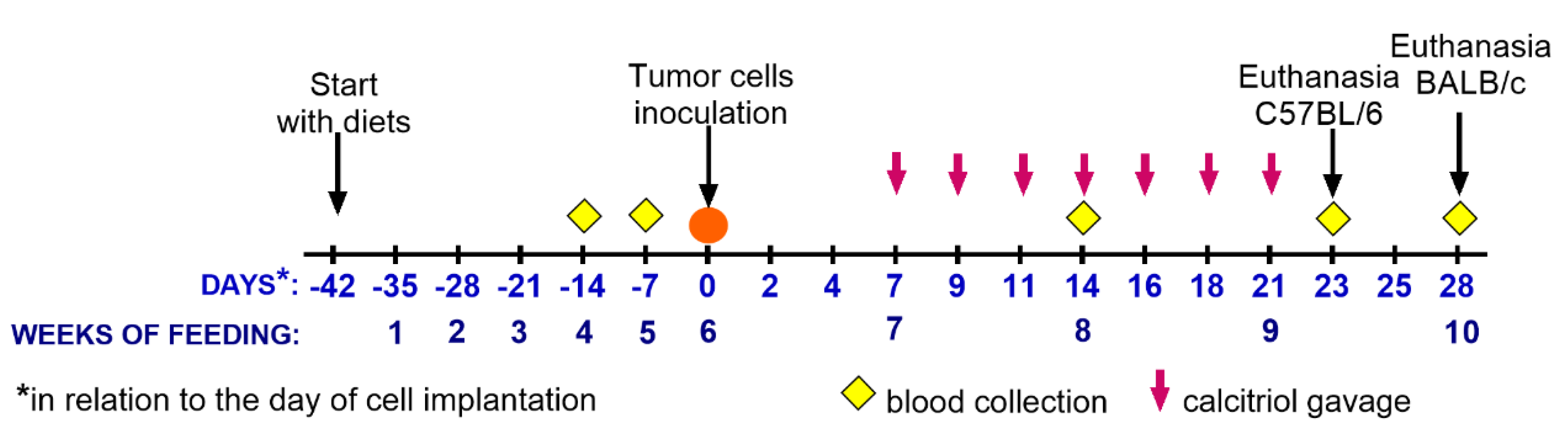 Nutrients 12 03416 g001