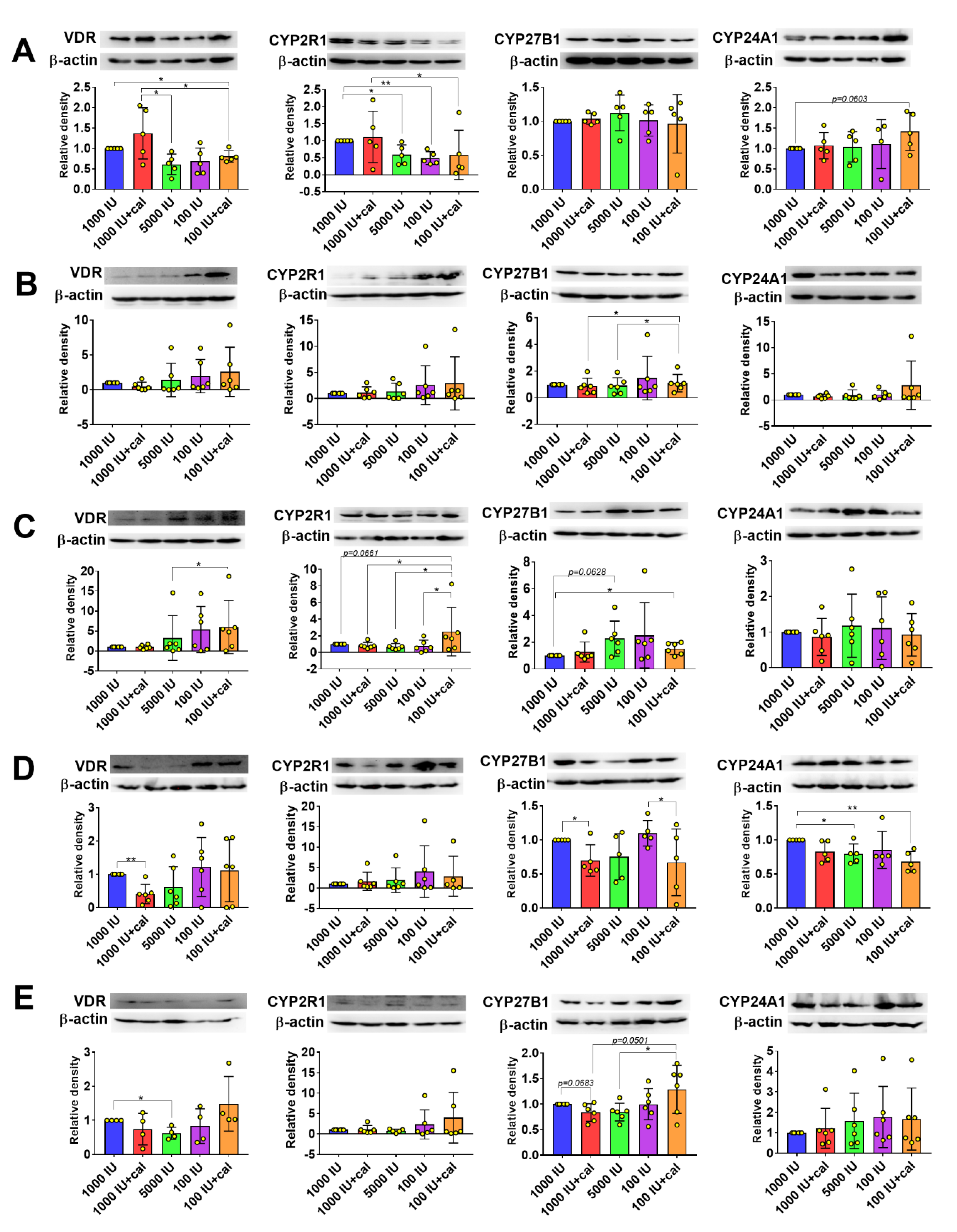 Nutrients 12 03416 g007