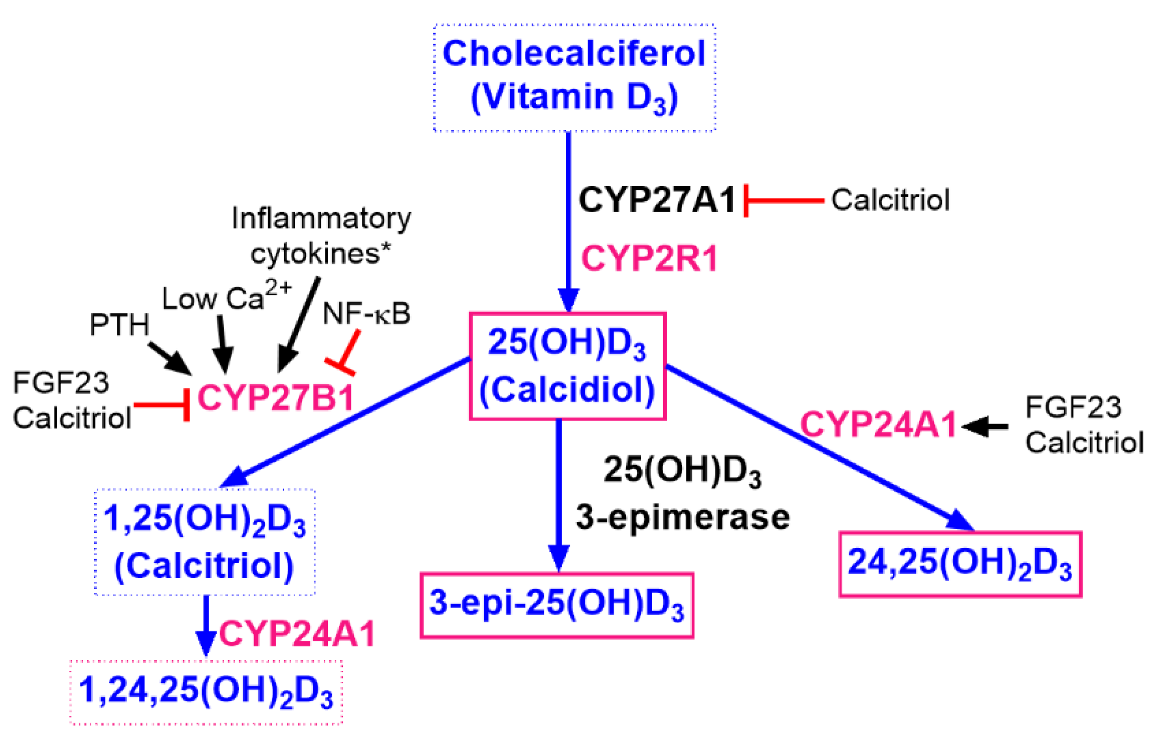 Nutrients 12 03416 g009