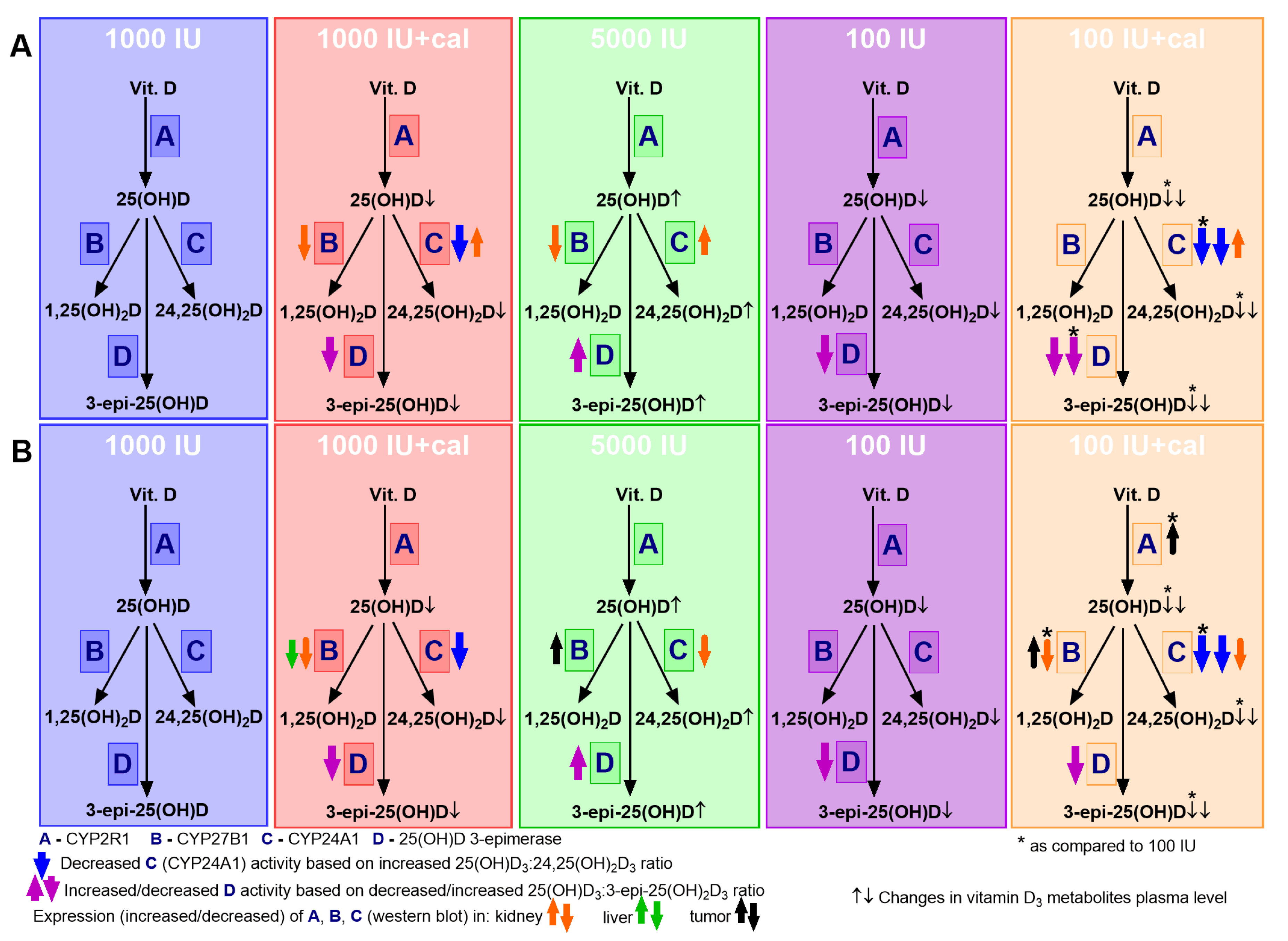Nutrients 12 03416 g010