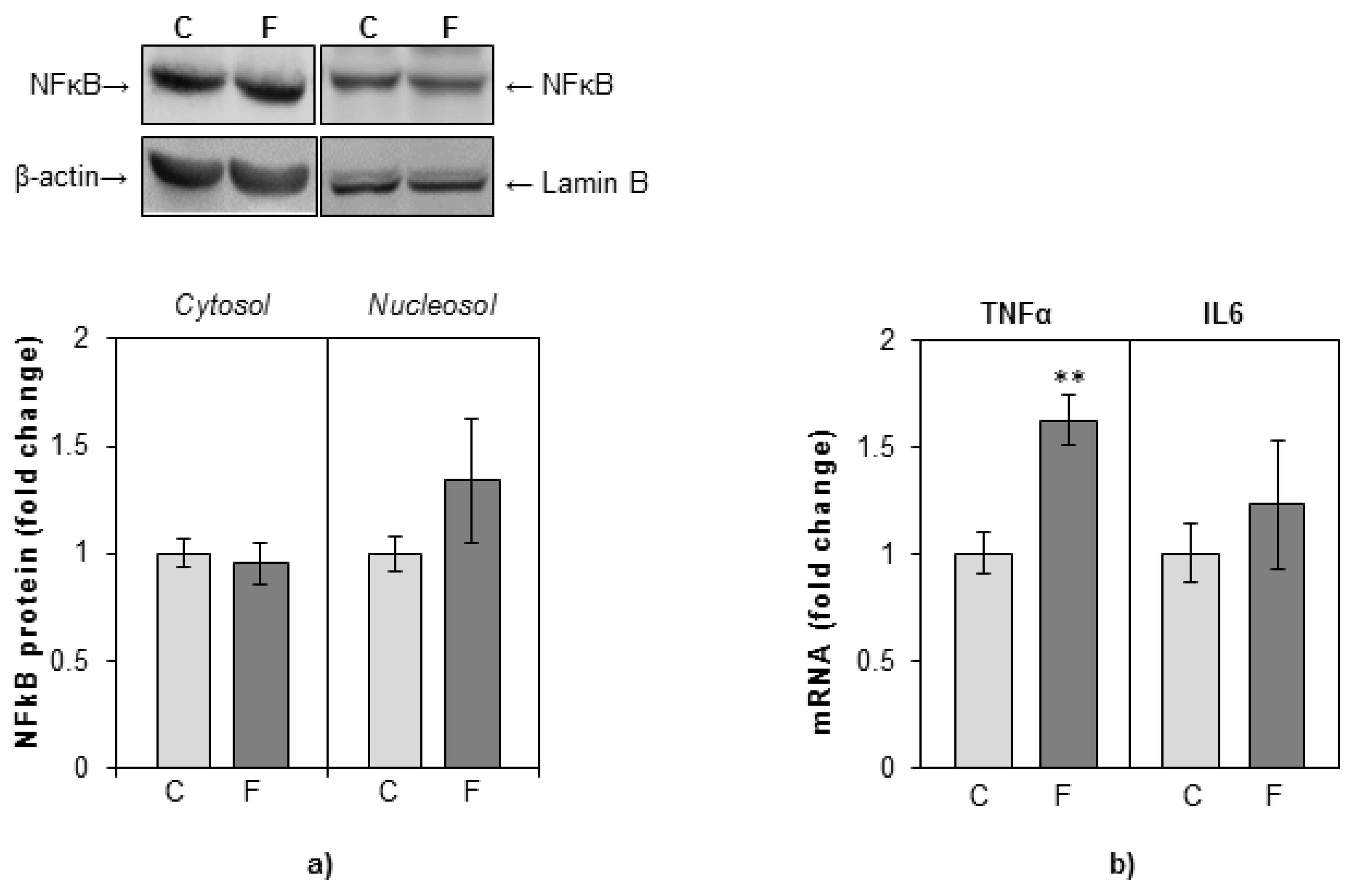 Nutrients 12 03470 g006