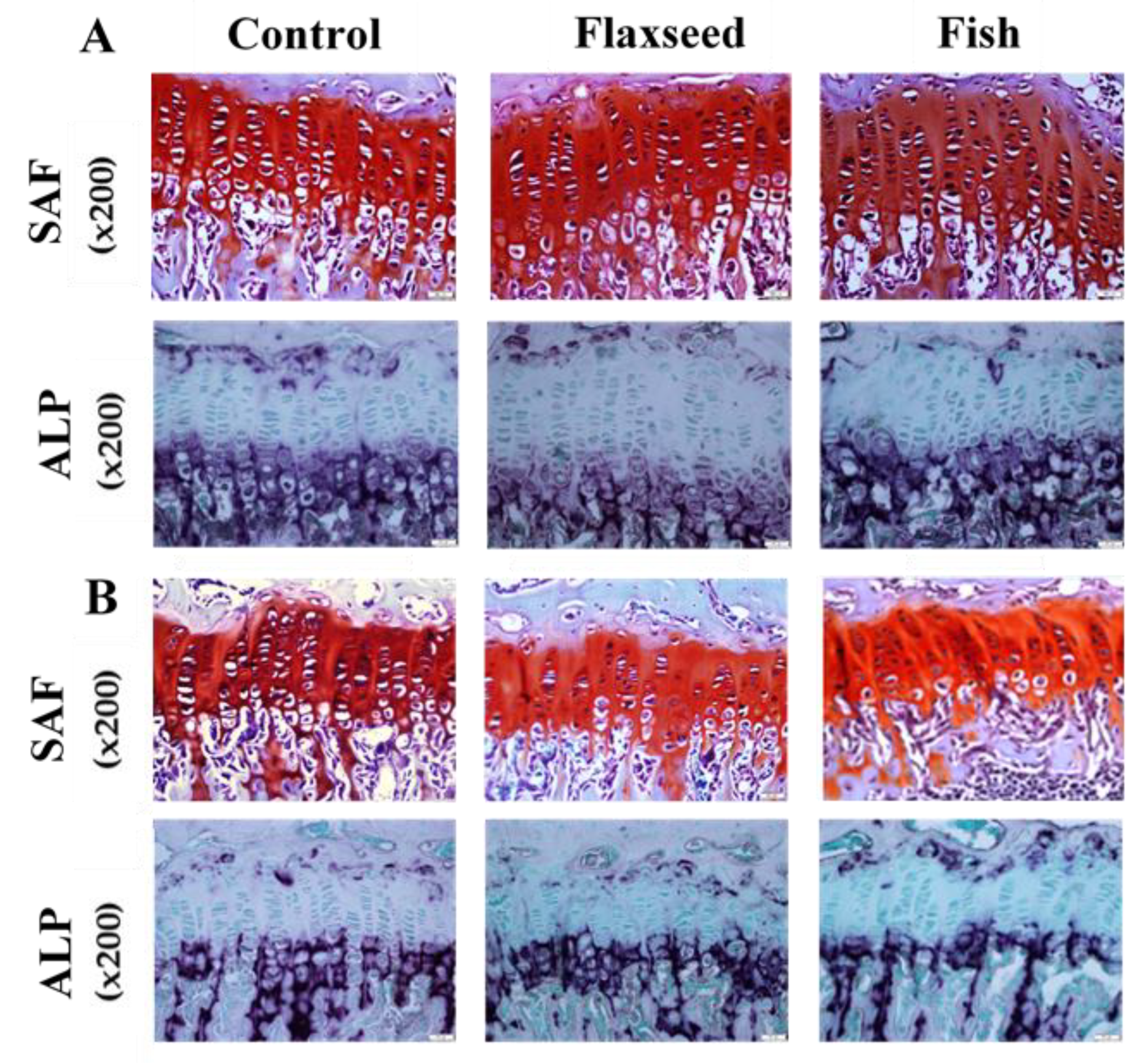 Nutrients 12 03494 g004 Nutrients 12 03494 g004