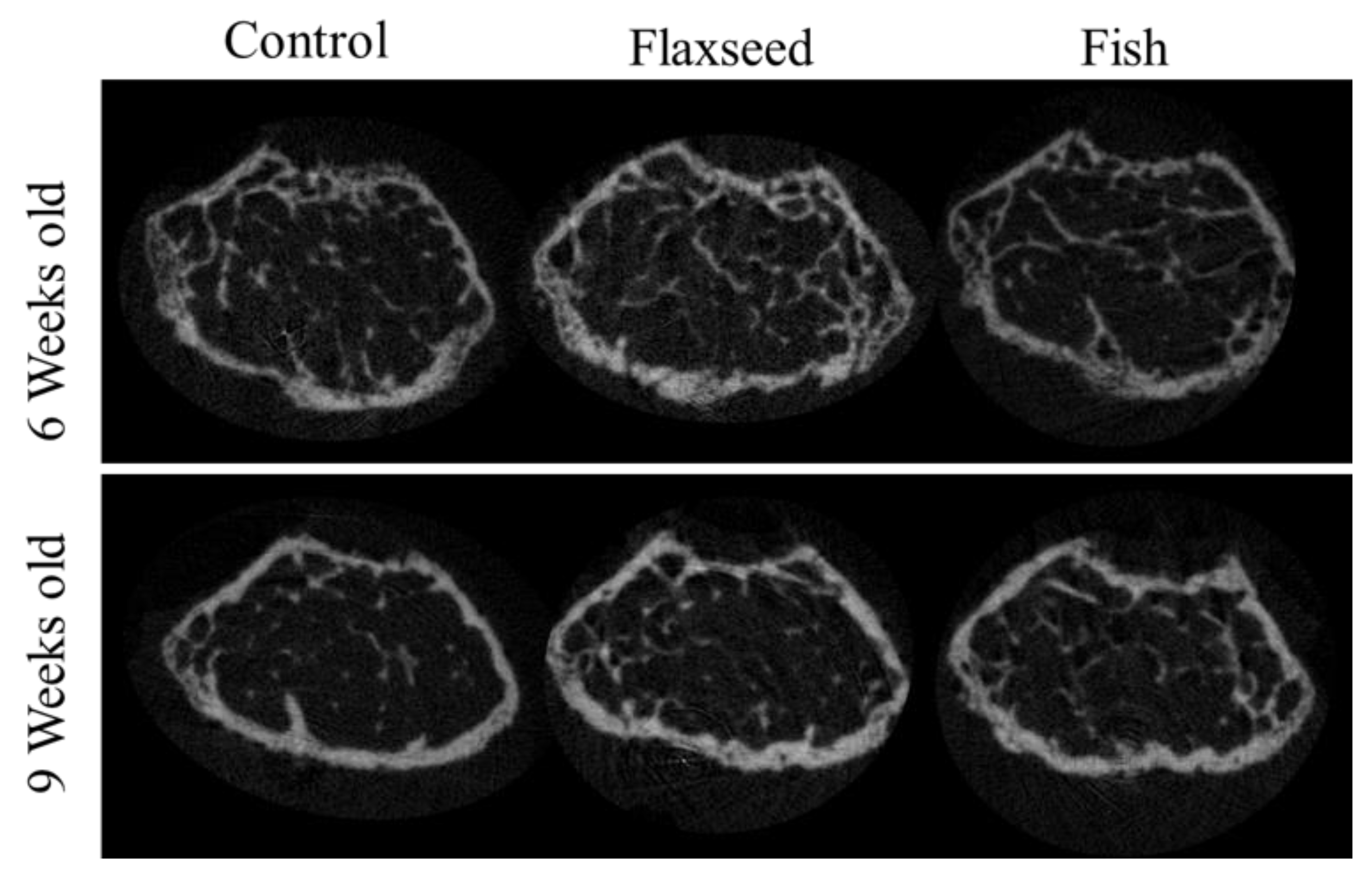 Nutrients 12 03494 g005 Nutrients 12 03494 g005