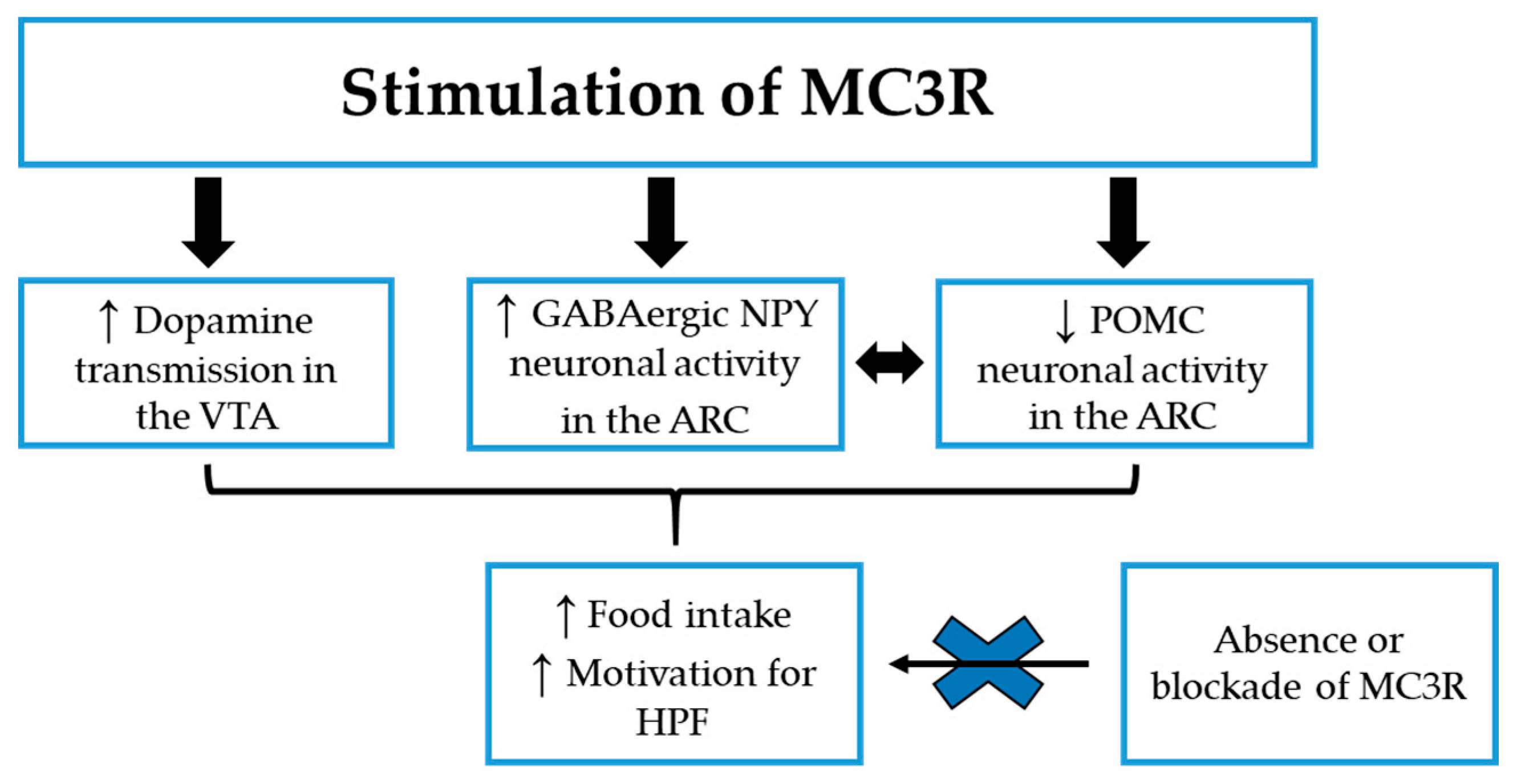 Nutrients 12 03502 g001