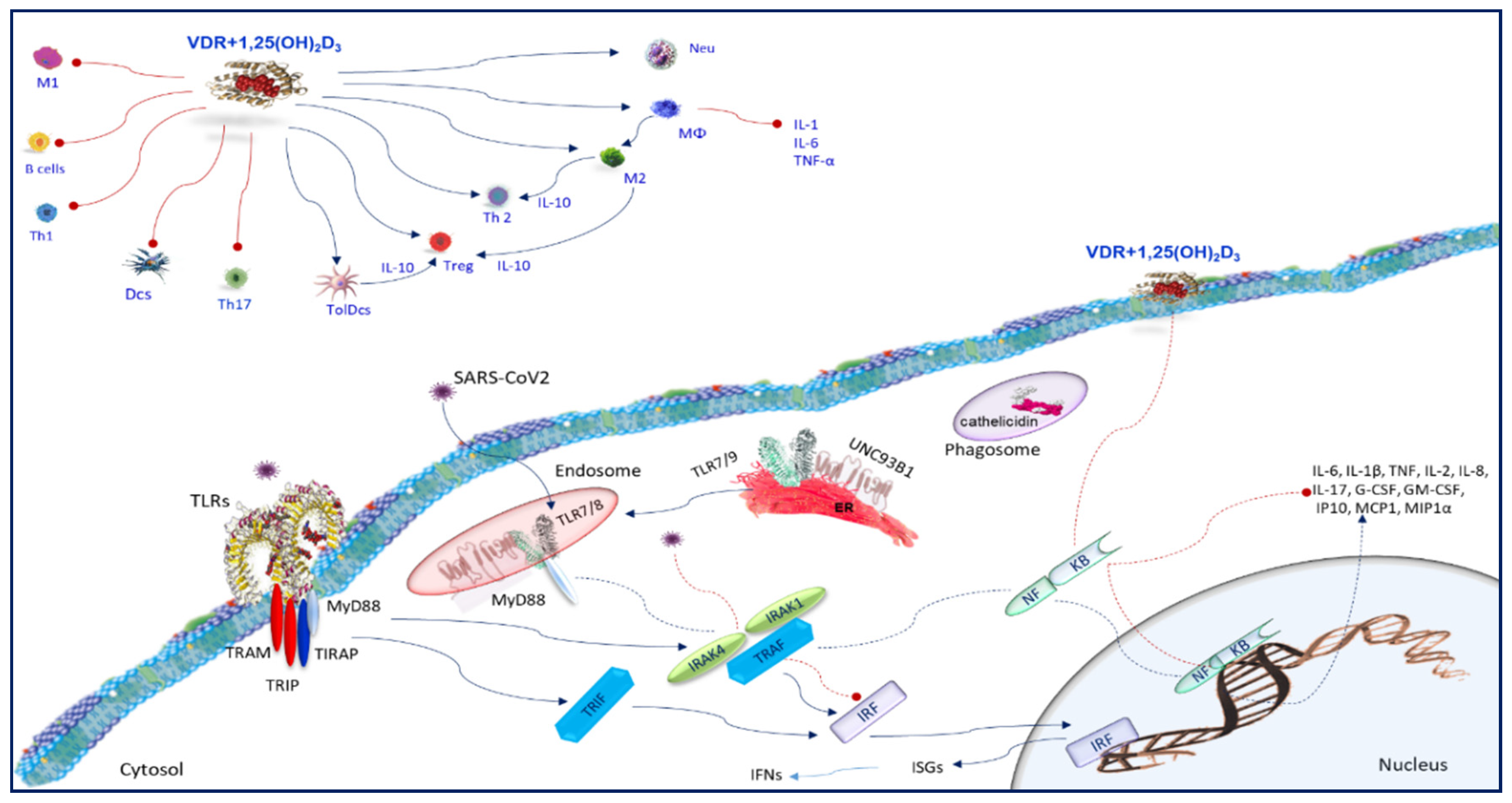 Nutrients 12 03512 g004