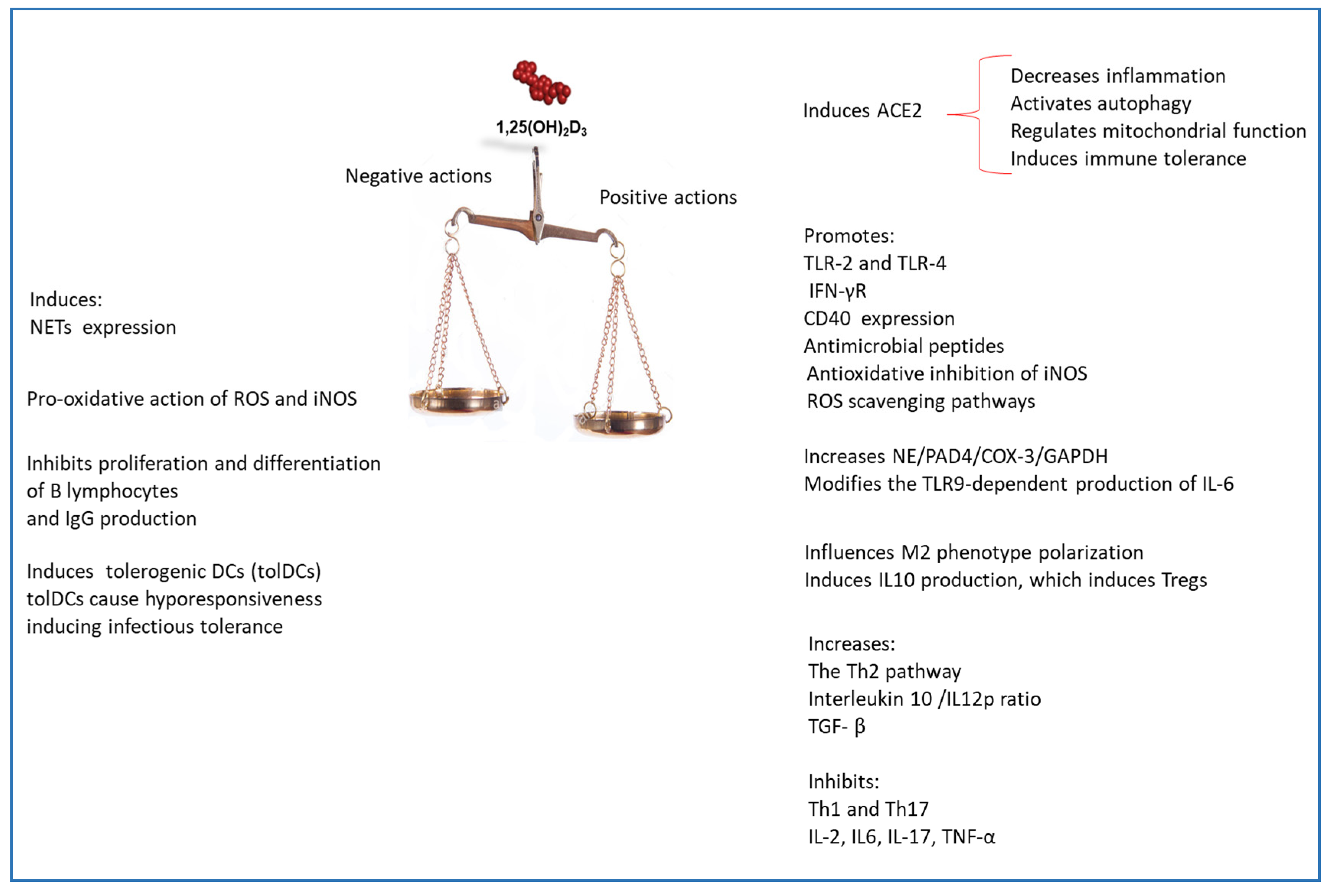 Nutrients 12 03512 g005