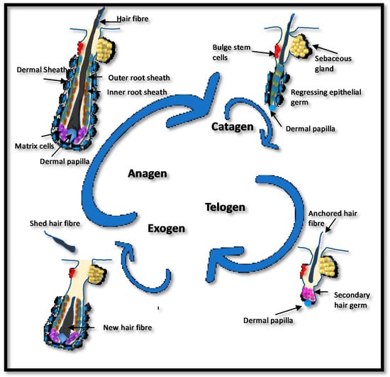 Nutrients 12 03537 g003