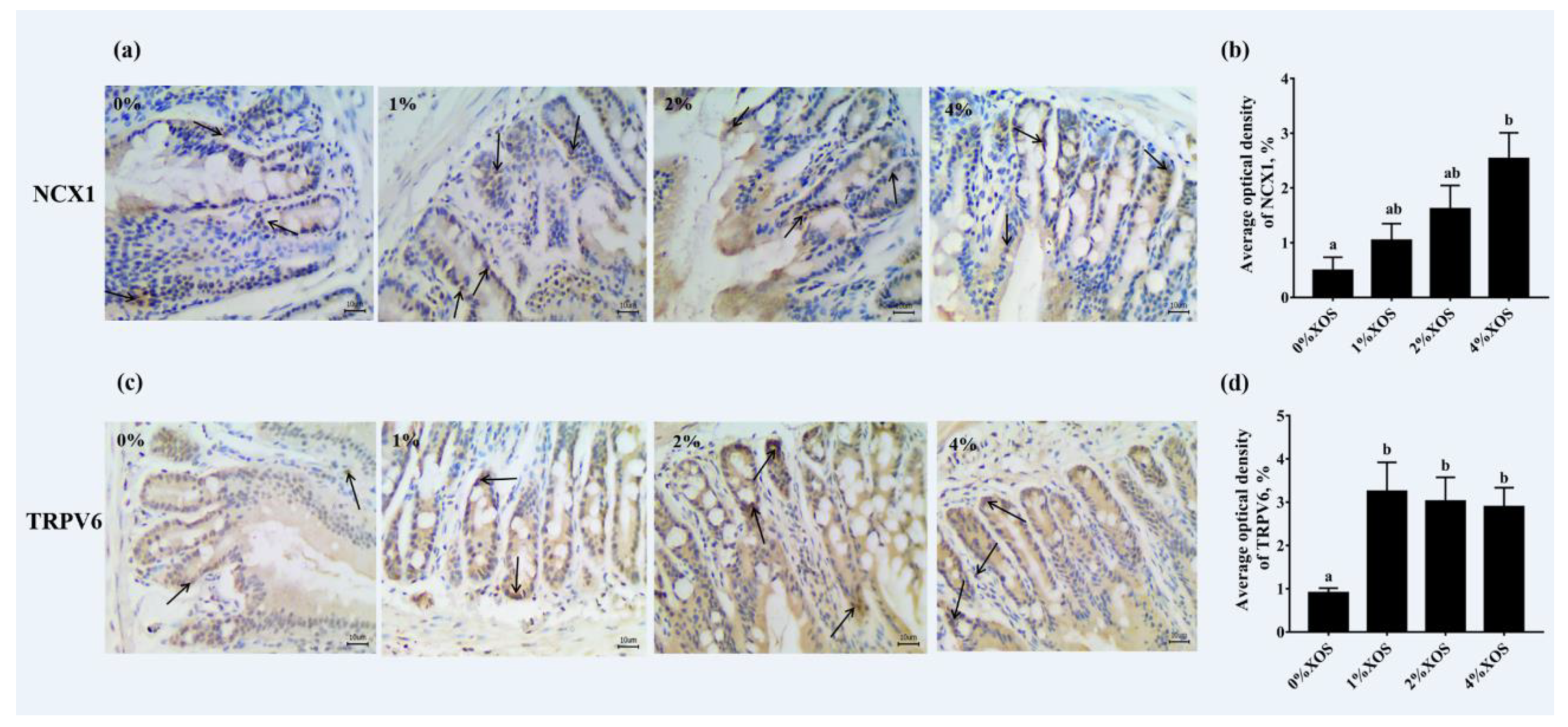 Nutrients 12 03542 g001