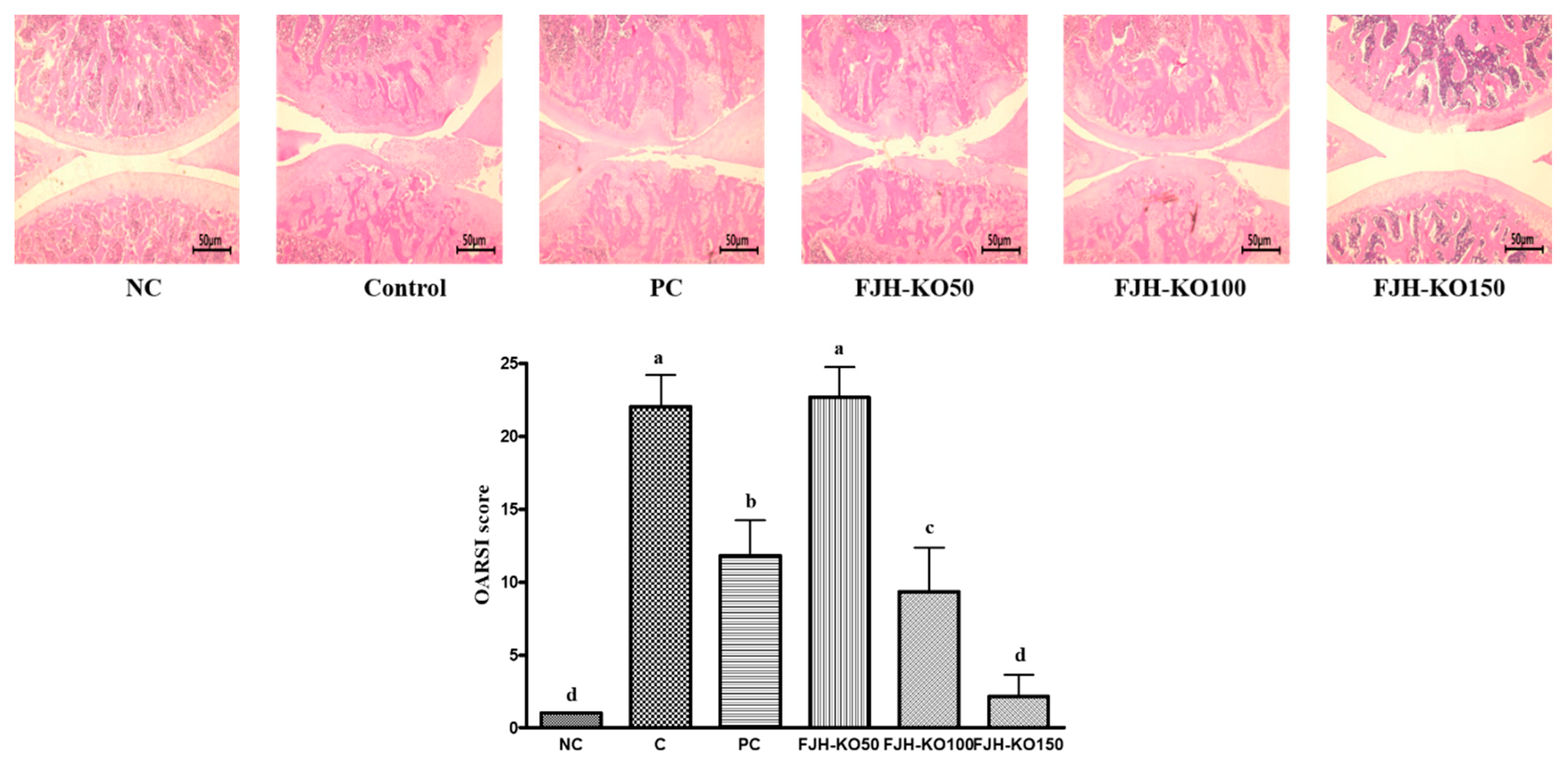 Nutrients 12 03550 g001 Nutrients 12 03550 g001